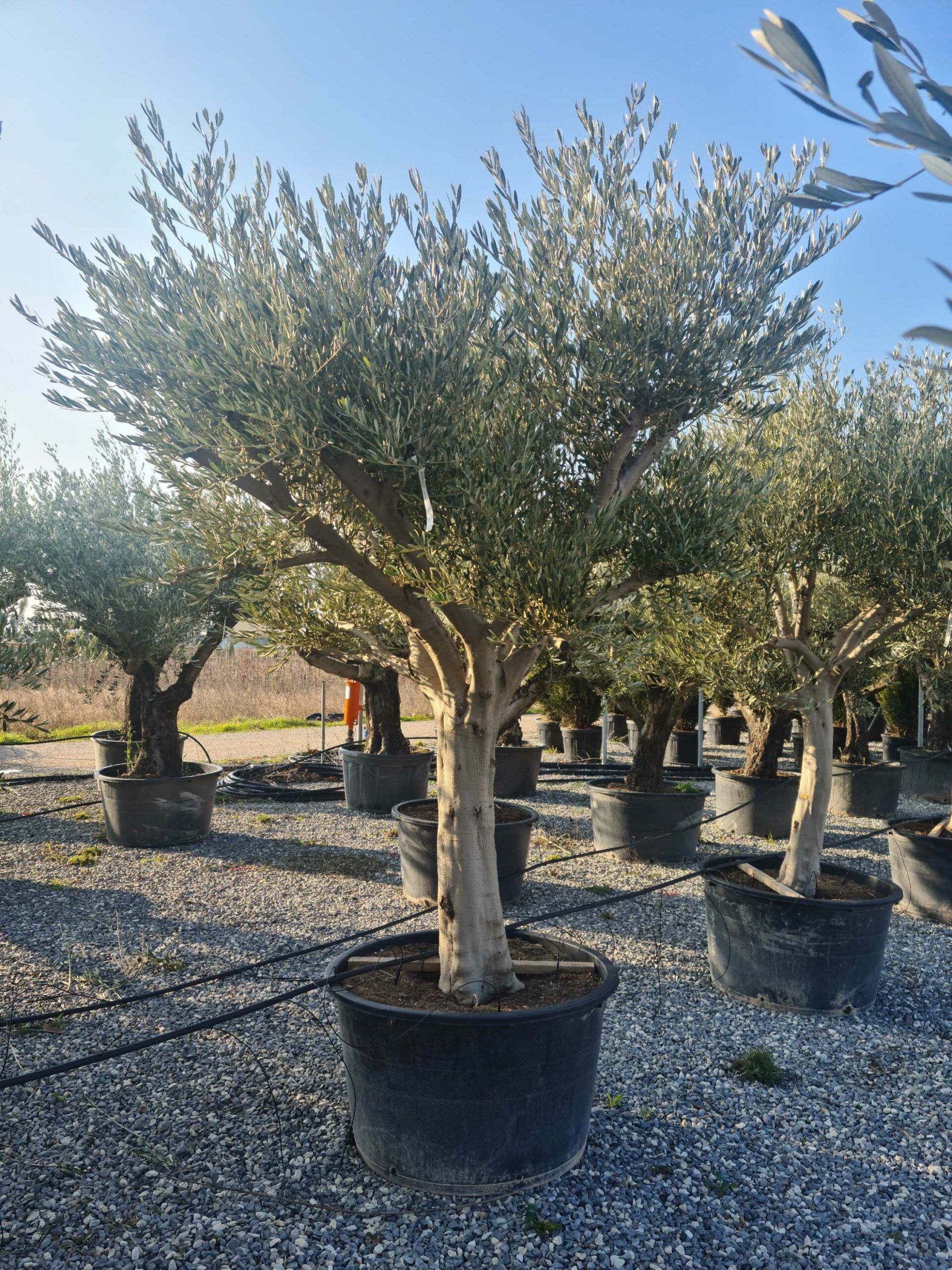 1642772837 scaled 8277bb3f