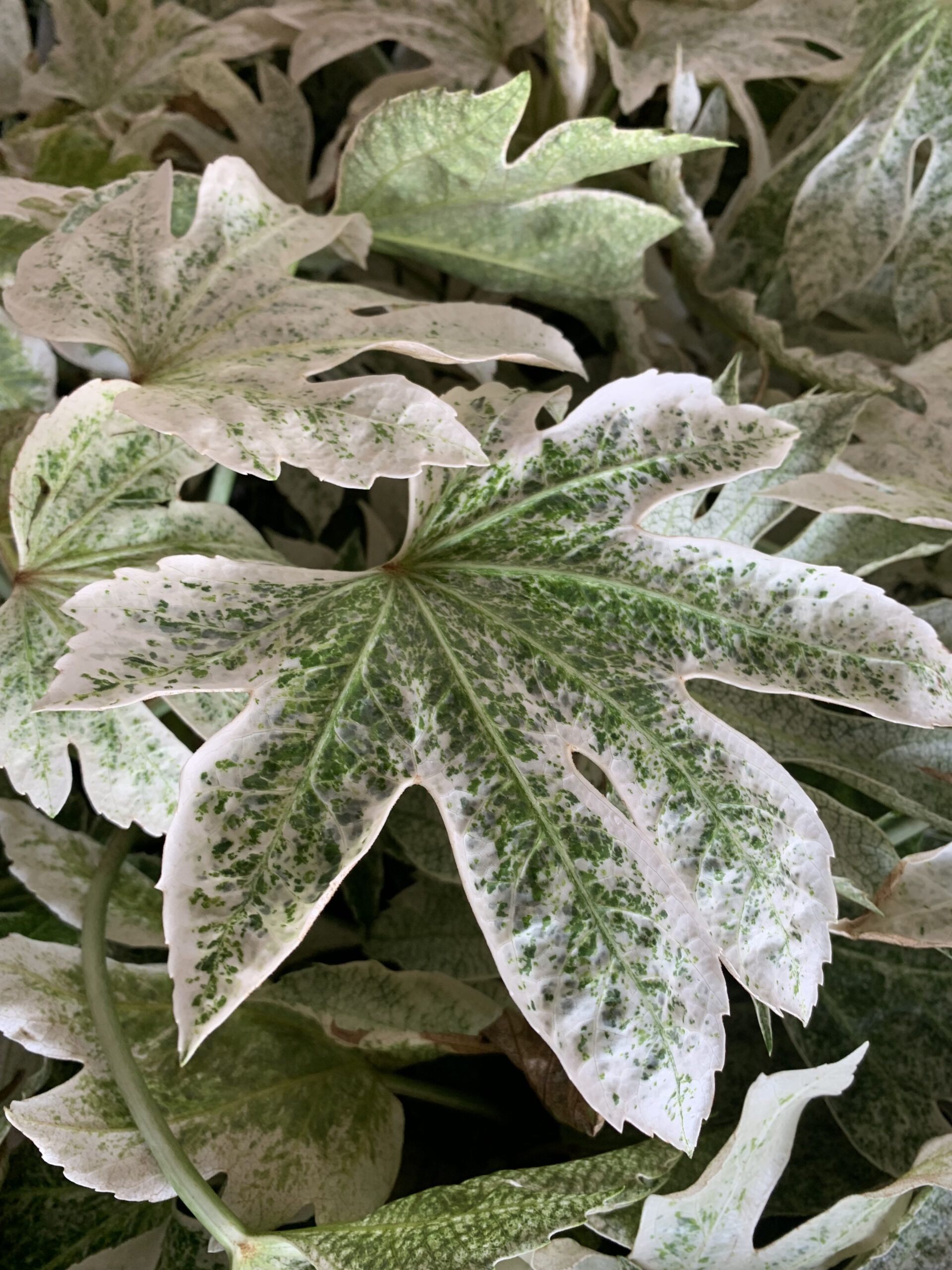 1652890326 scaled 82990d64