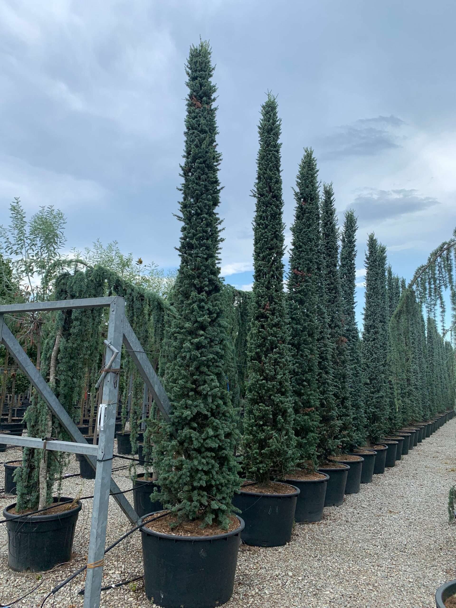 1657552801 scaled 82345ee5