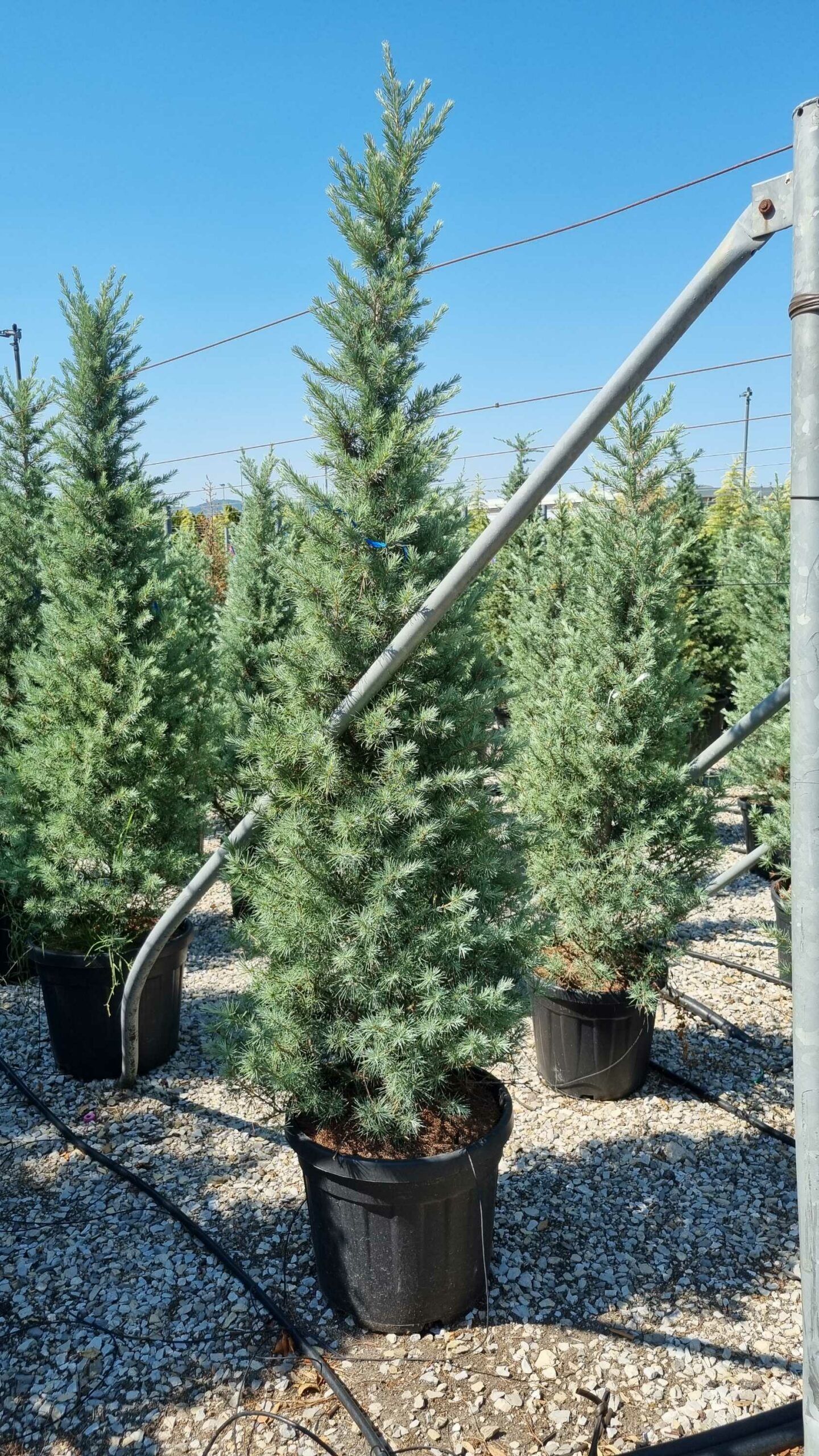 1658220562 scaled 82b38241