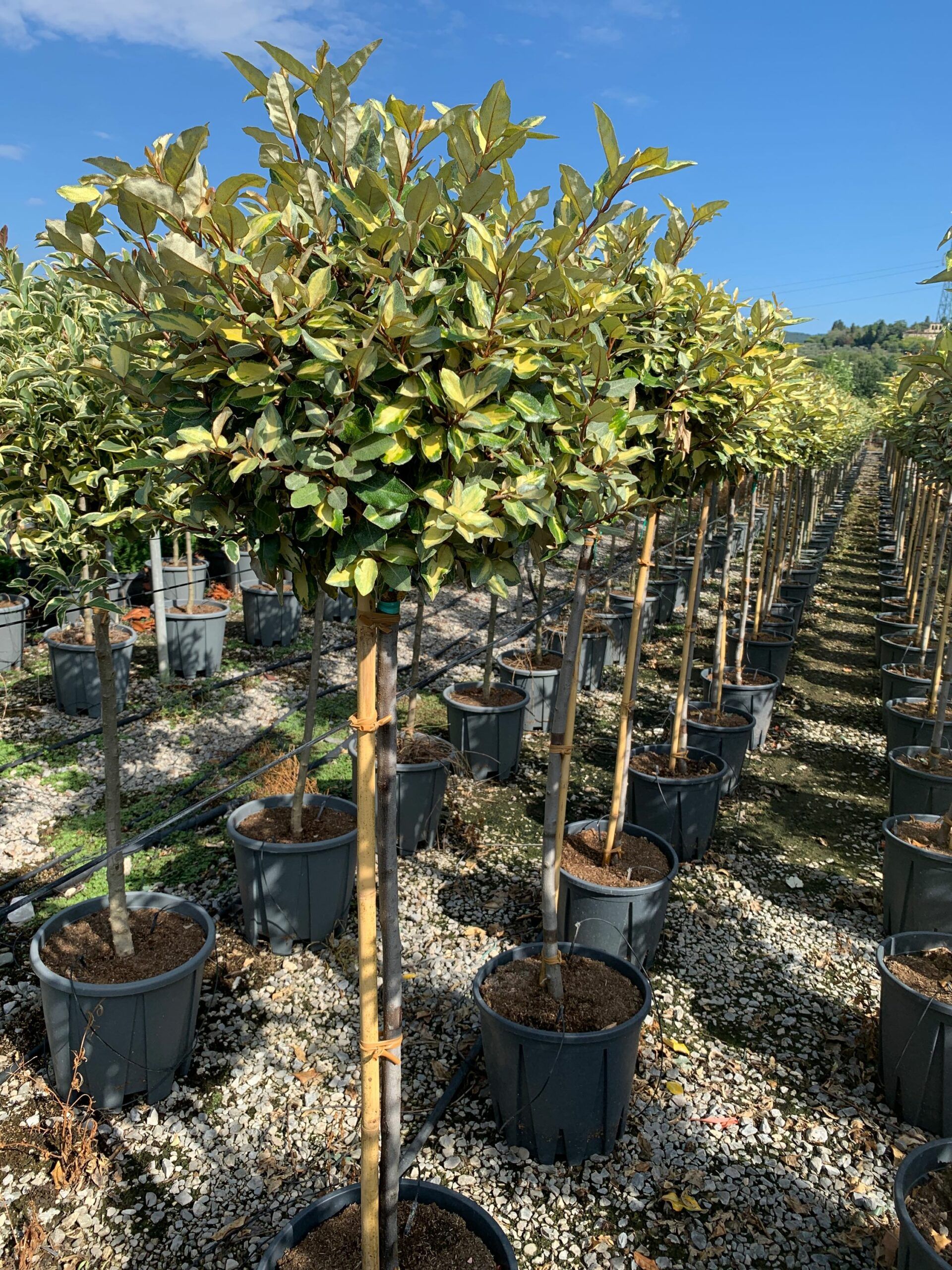 1662106101 scaled 8292b846