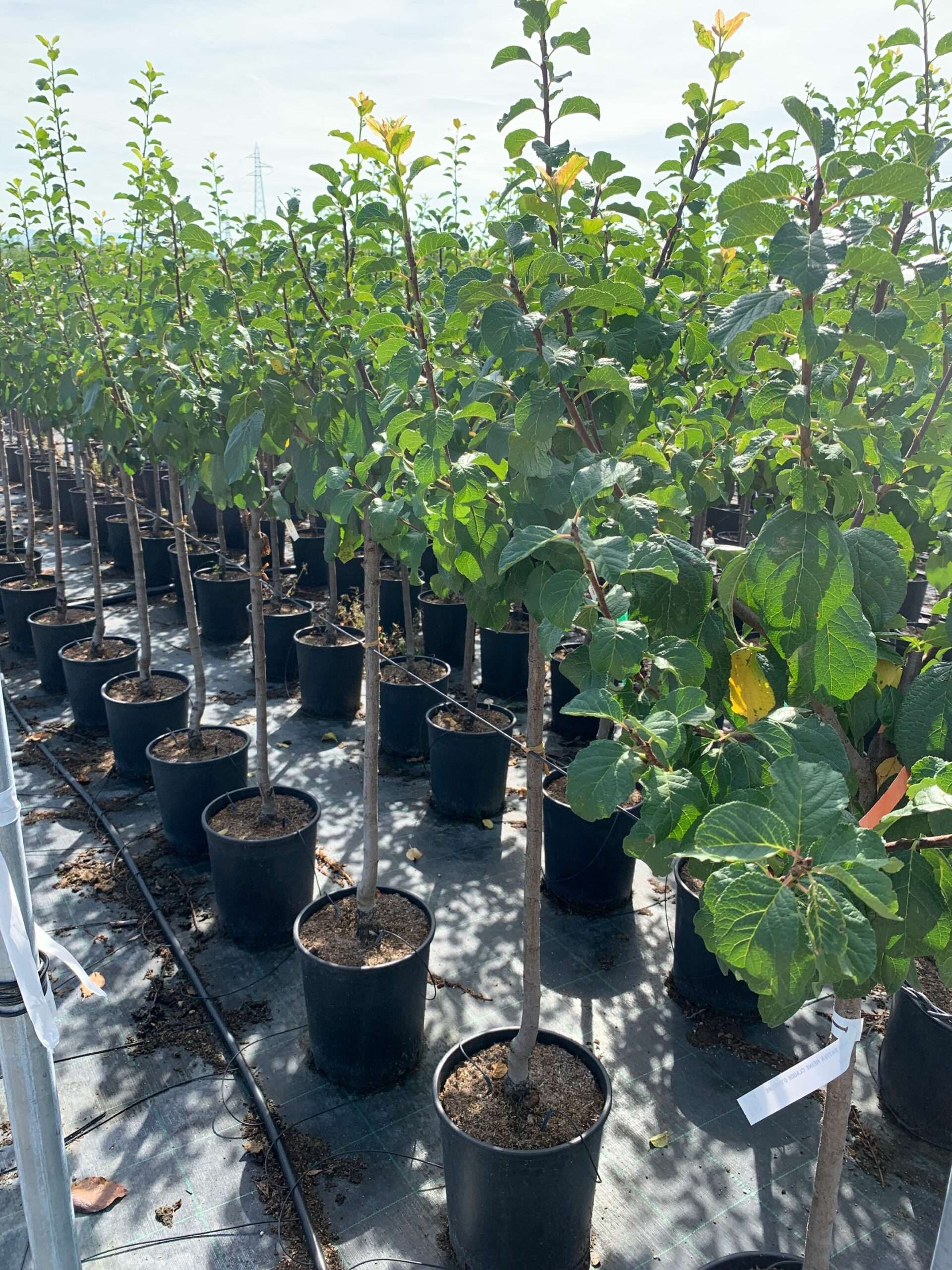 1662367272 scaled 82bd9aad