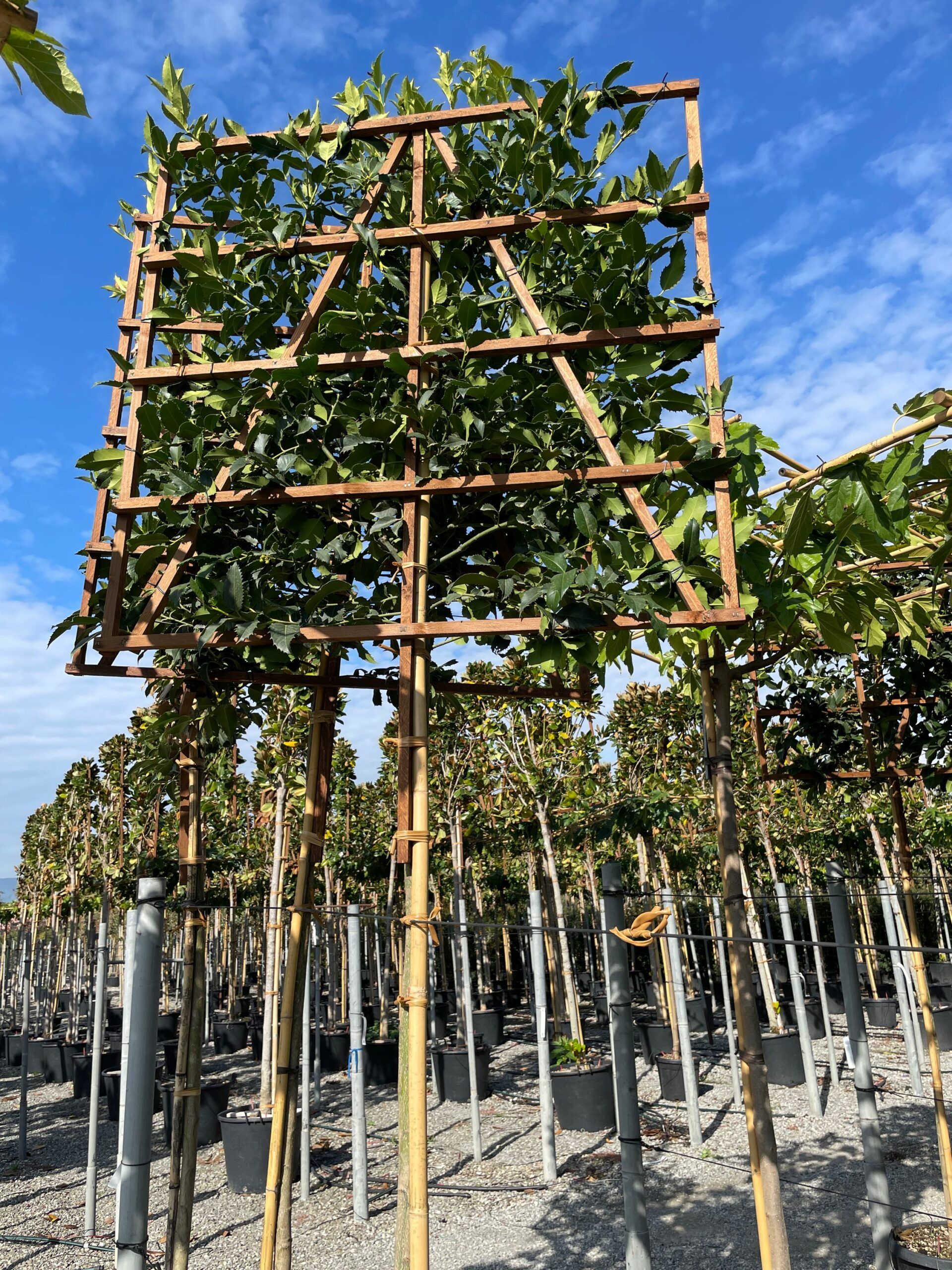 1665306572 scaled 827ce6d5