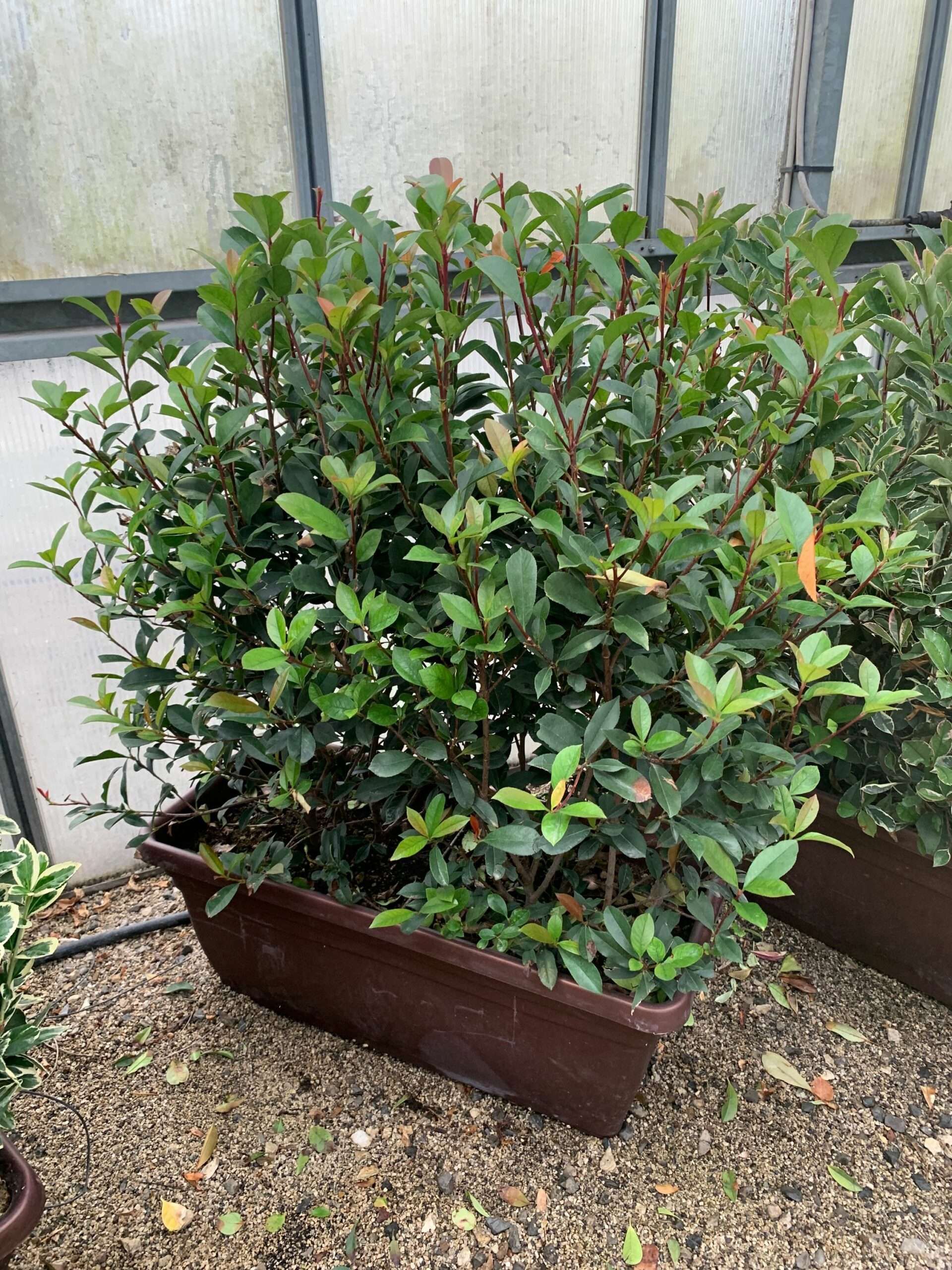 1633335636 scaled 83d72543