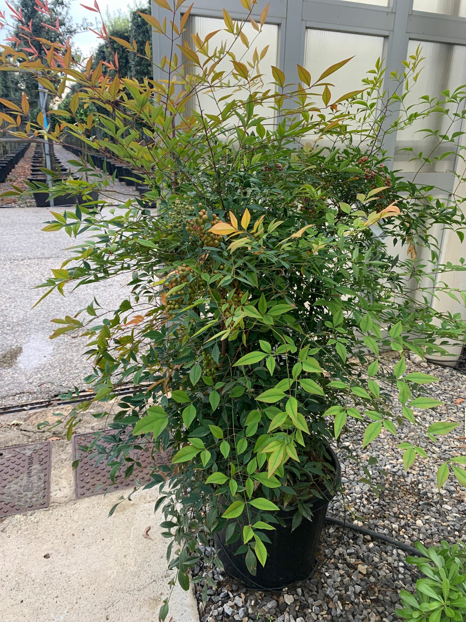 1634825703 scaled 830b1f6c