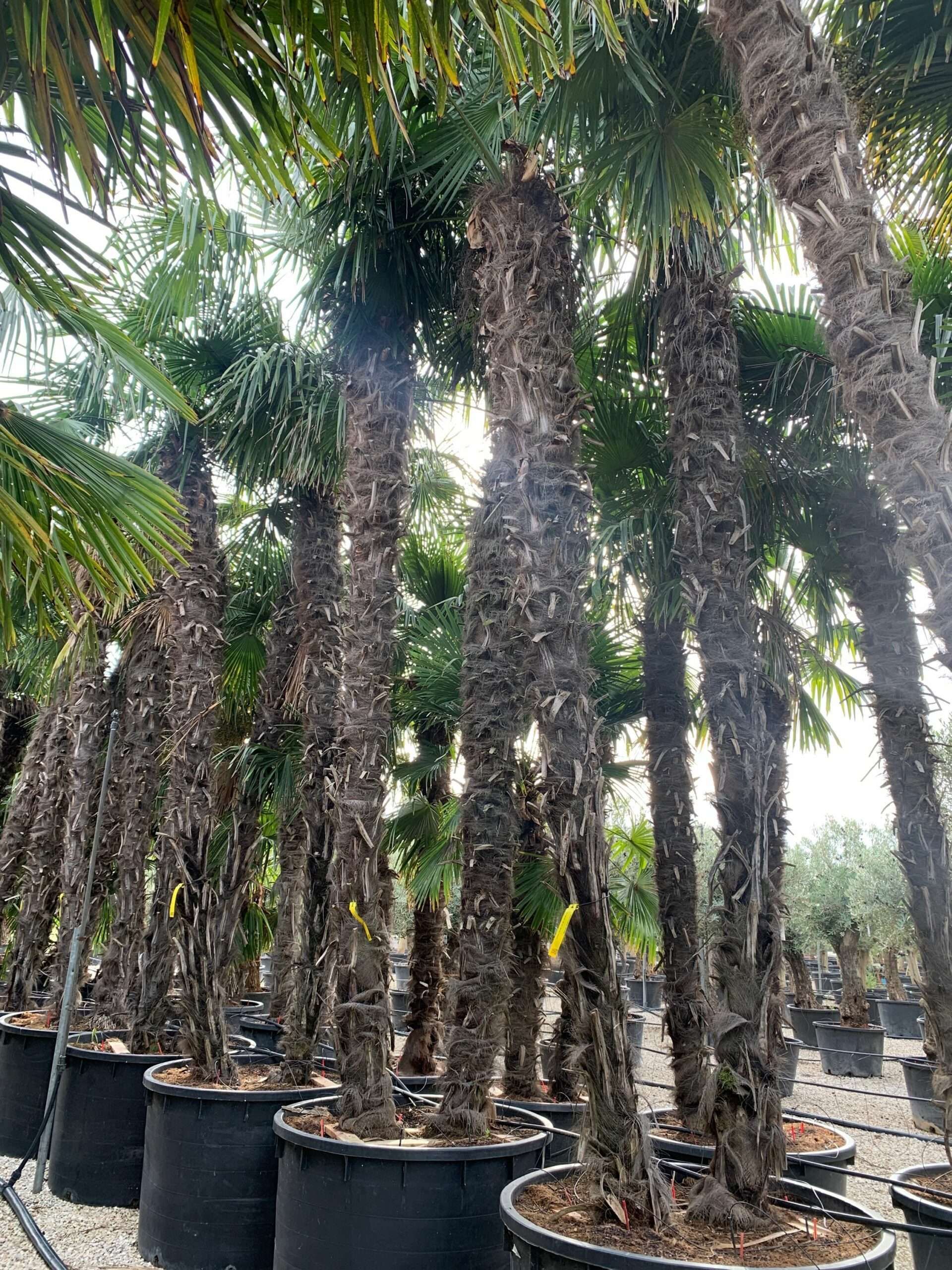 1636101218 scaled 83dcd148