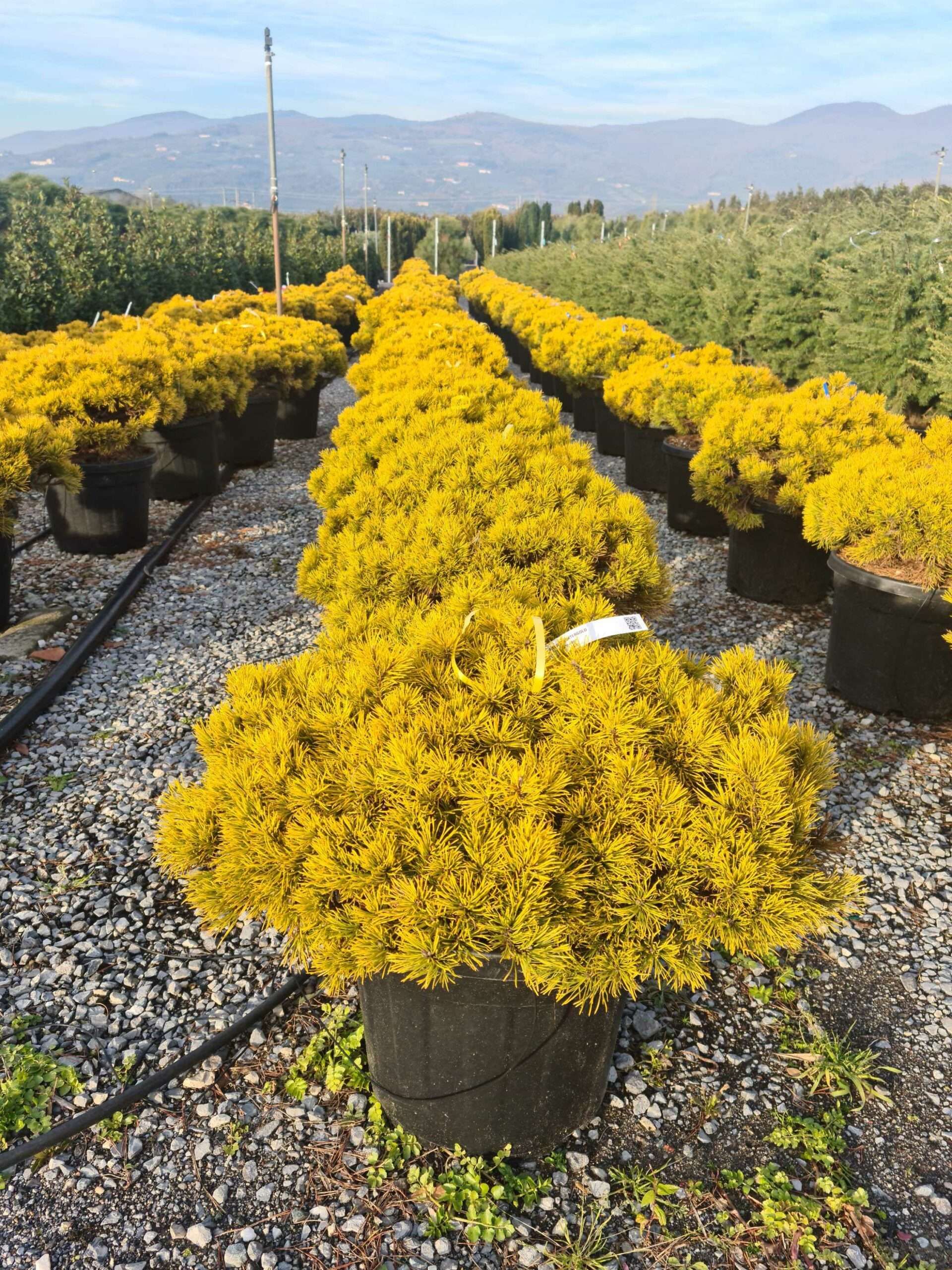 1639490692 scaled 830de926