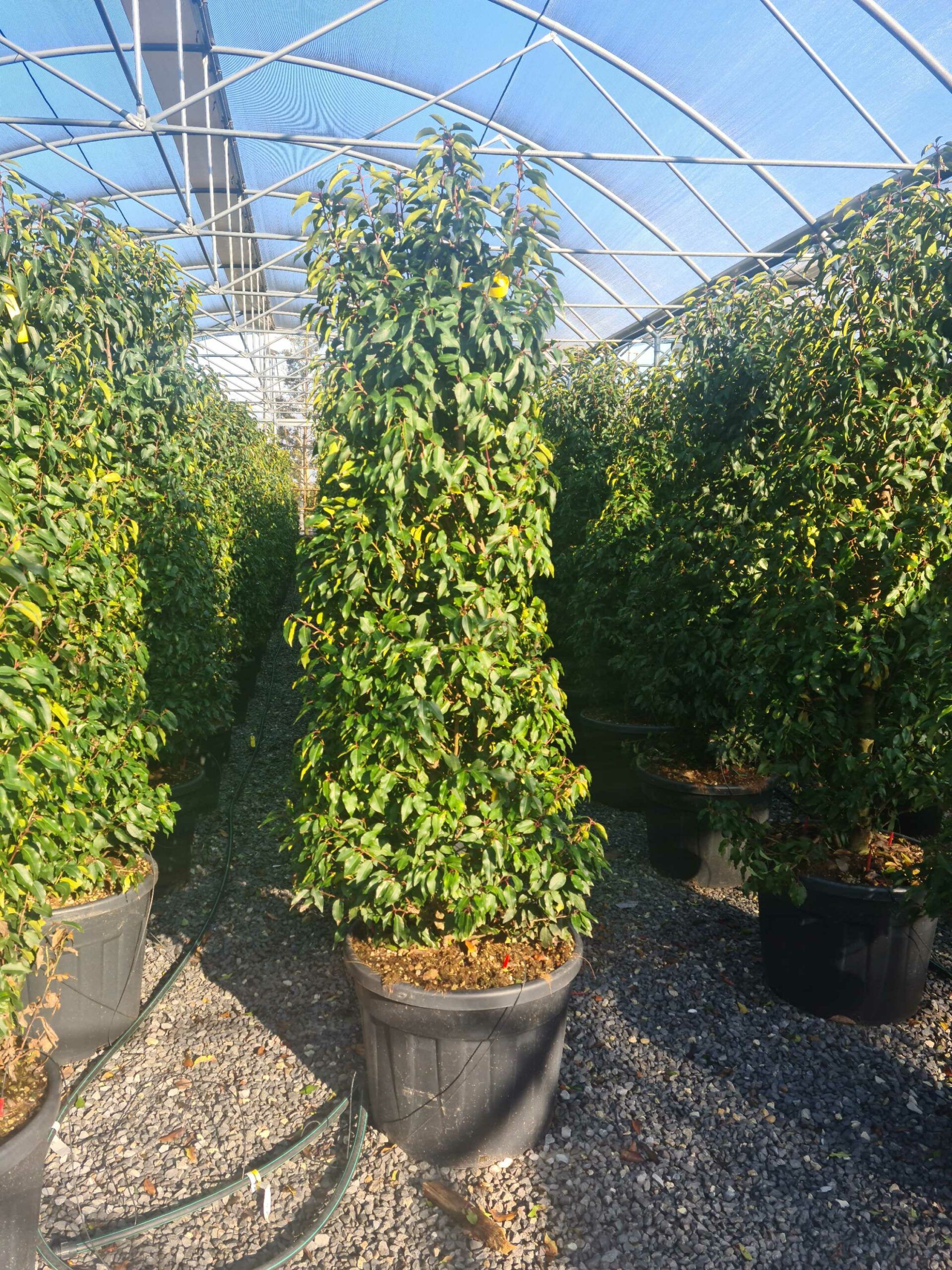 1642758657 scaled 839f283e