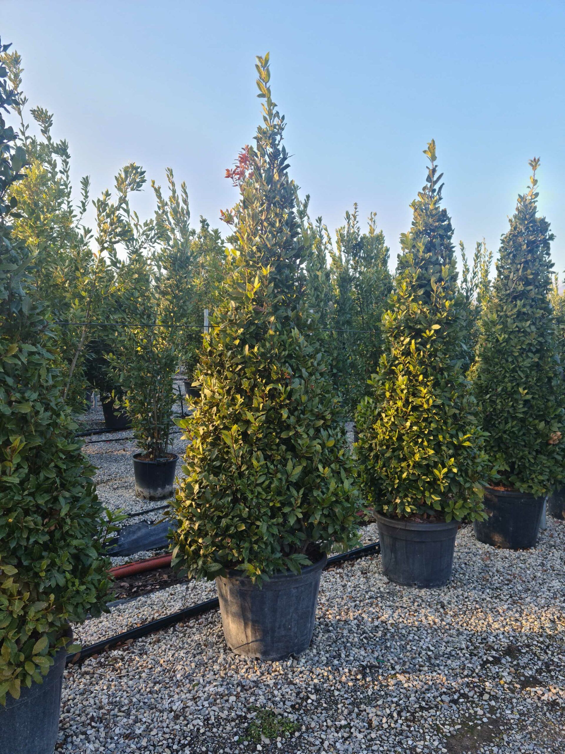 1642777694 scaled 8316d0ad