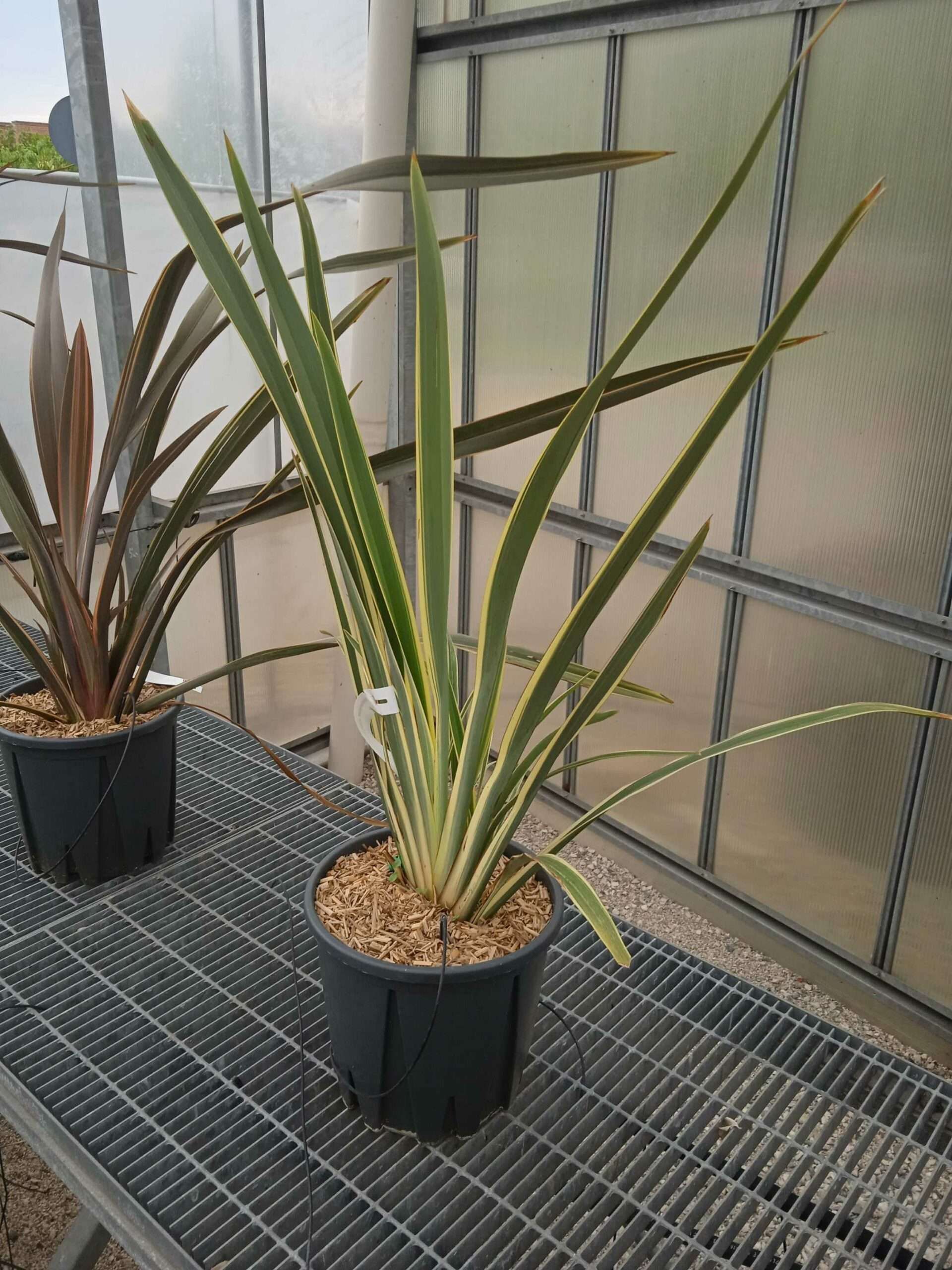 1662188039 scaled 8315b5fc