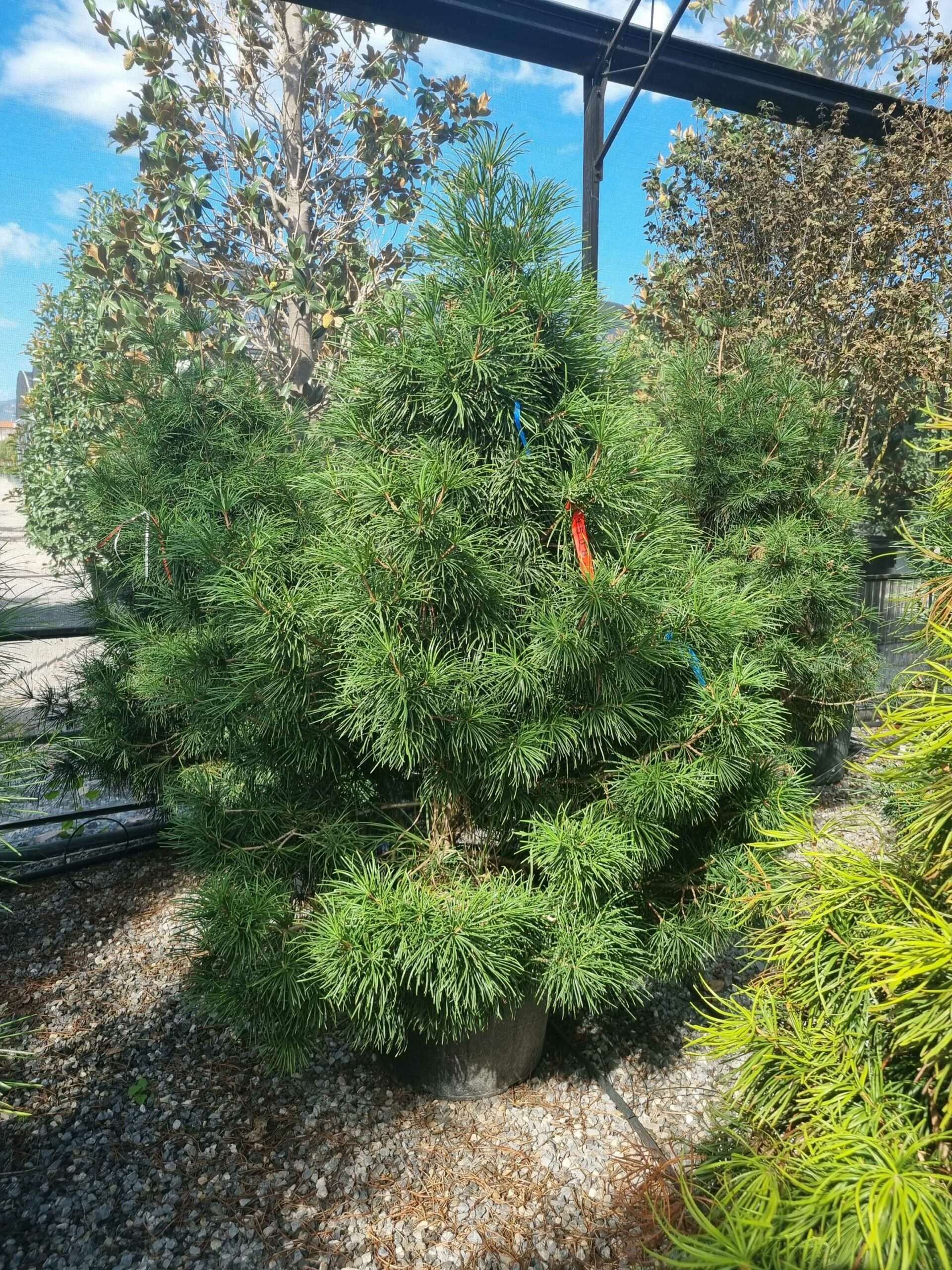 1663579416 scaled 83a290af