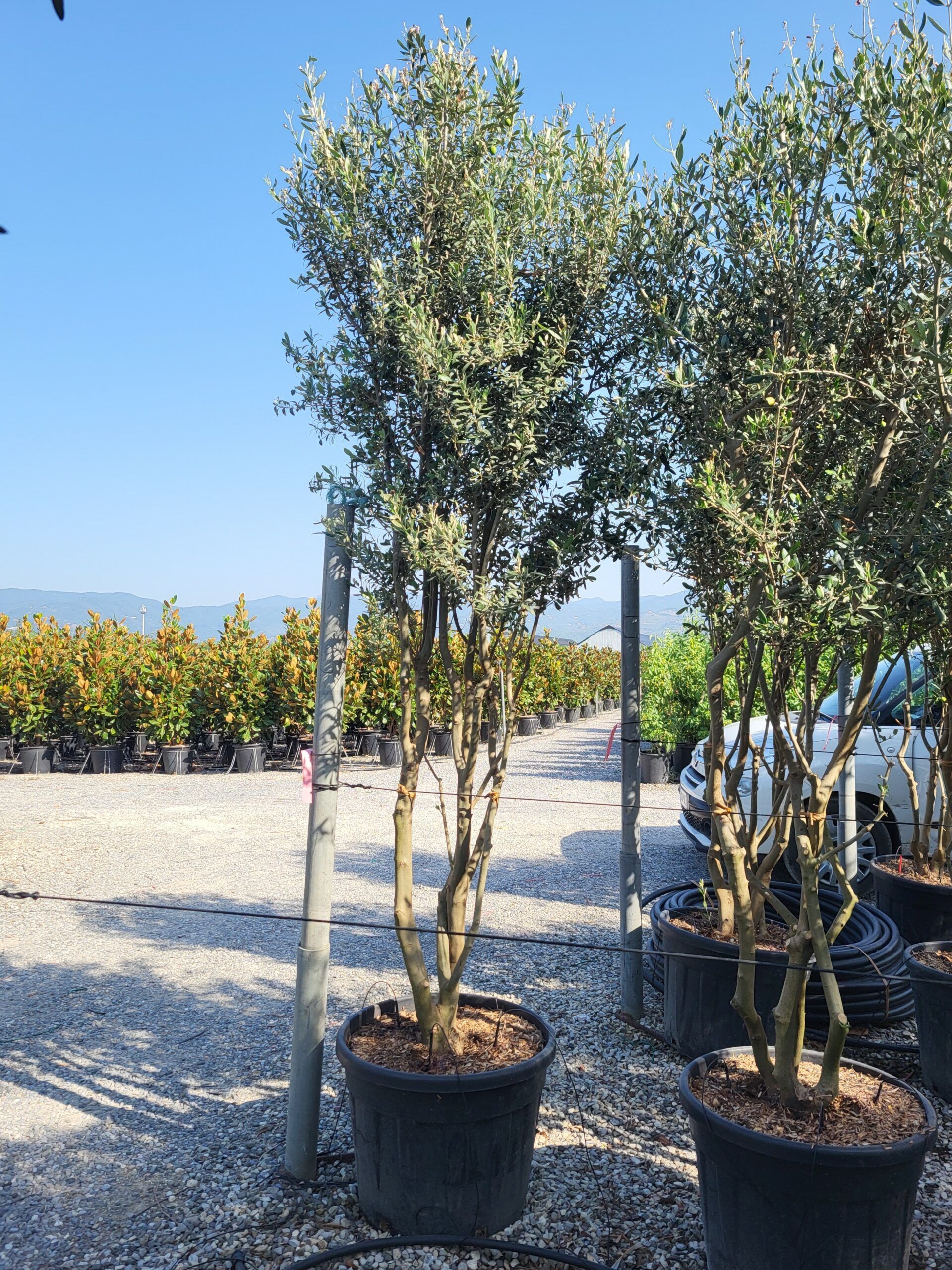 1692956313 scaled 83c20901