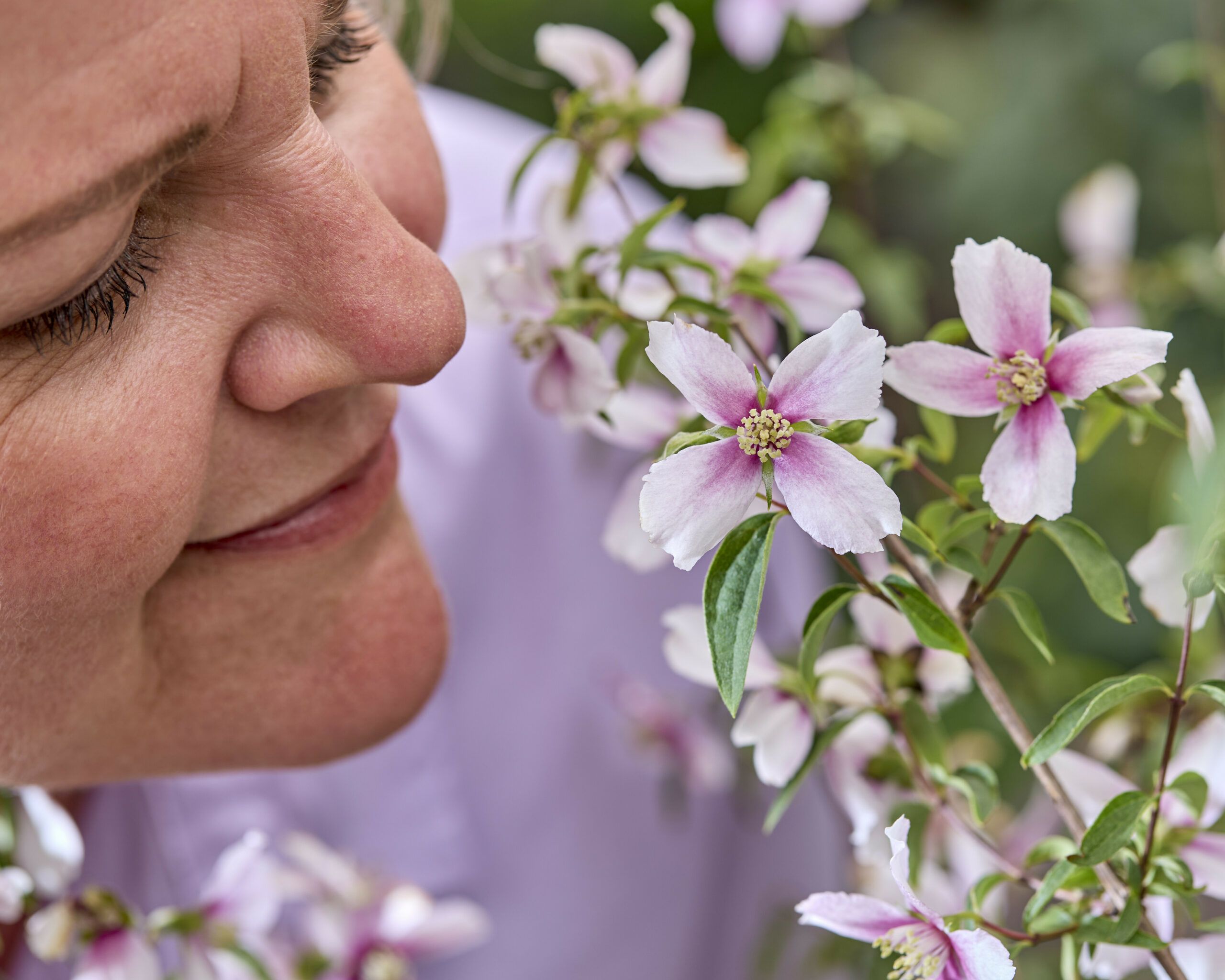 Philadelphus Petite Perfume Pink 18 scaled 83c65ea9