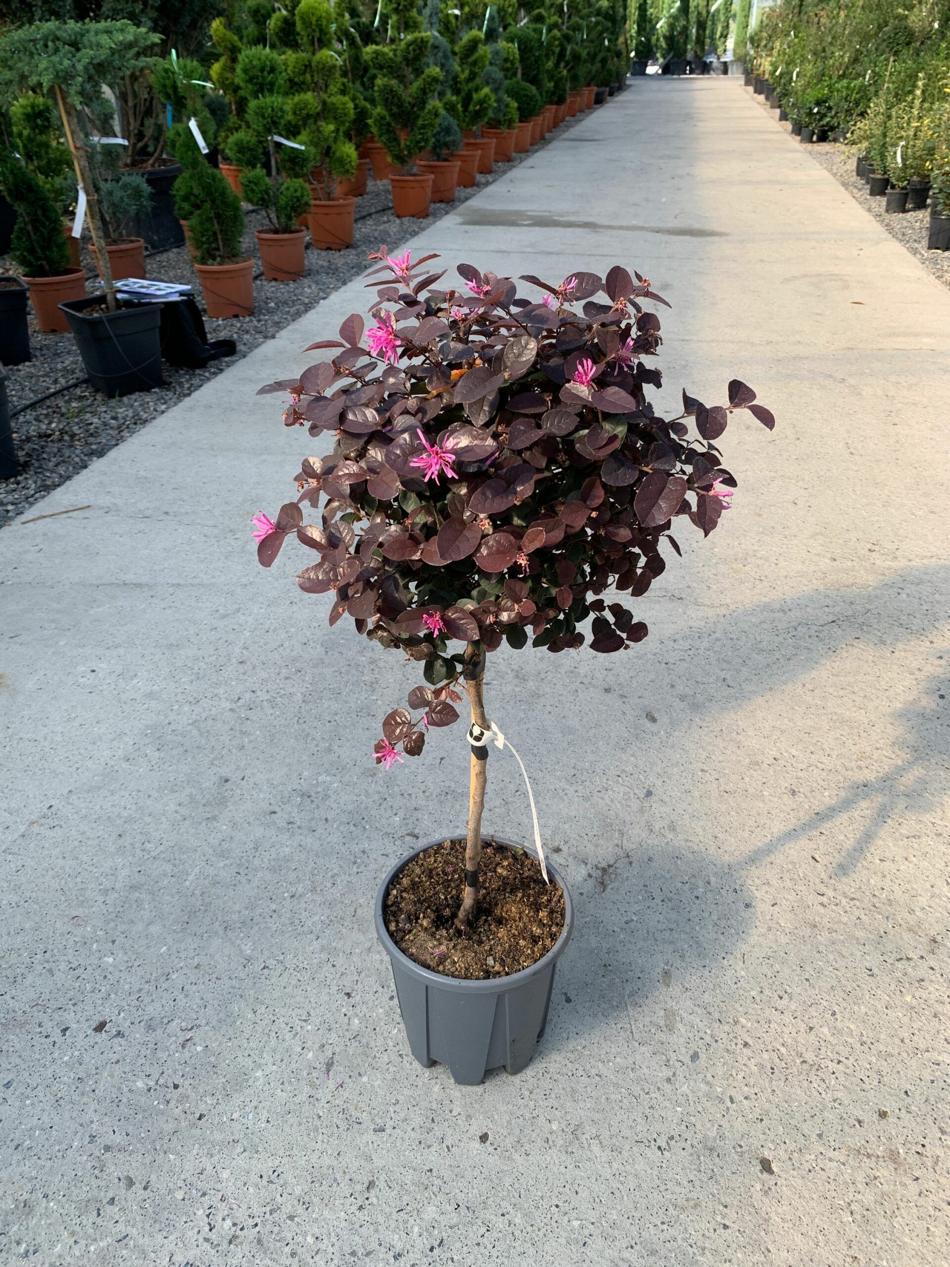 1632837500 scaled 84f542ab