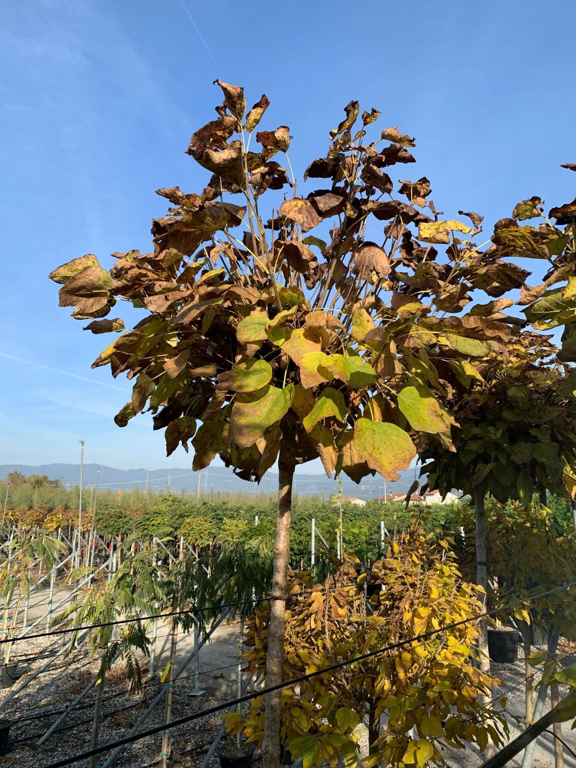 1635494240 scaled 8499bd42