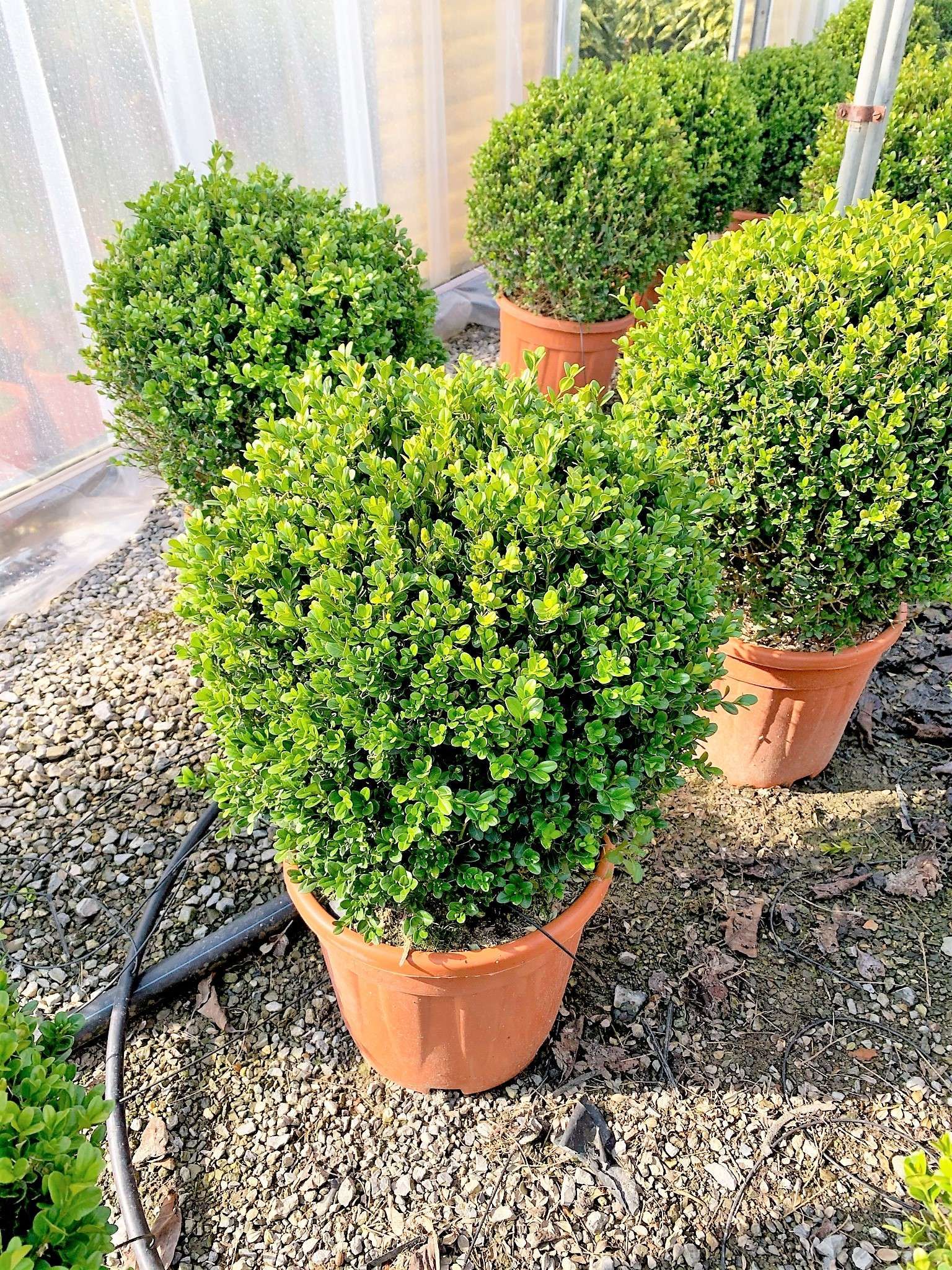 1650545942 1616597695 01ca555a39ea22b43b37853476d6ff4b18af50c708 8421b5e7