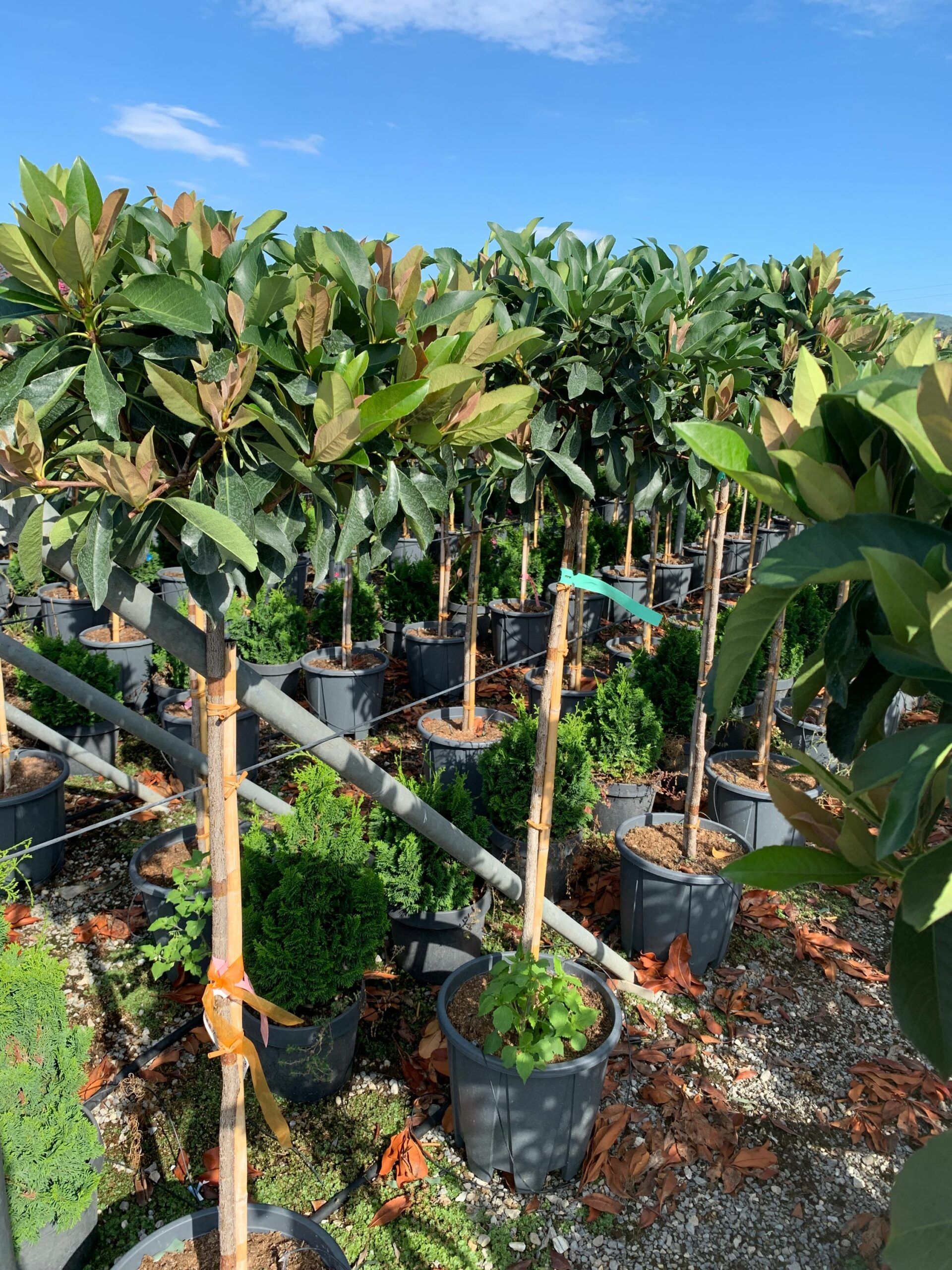 1662106140 scaled 849df585