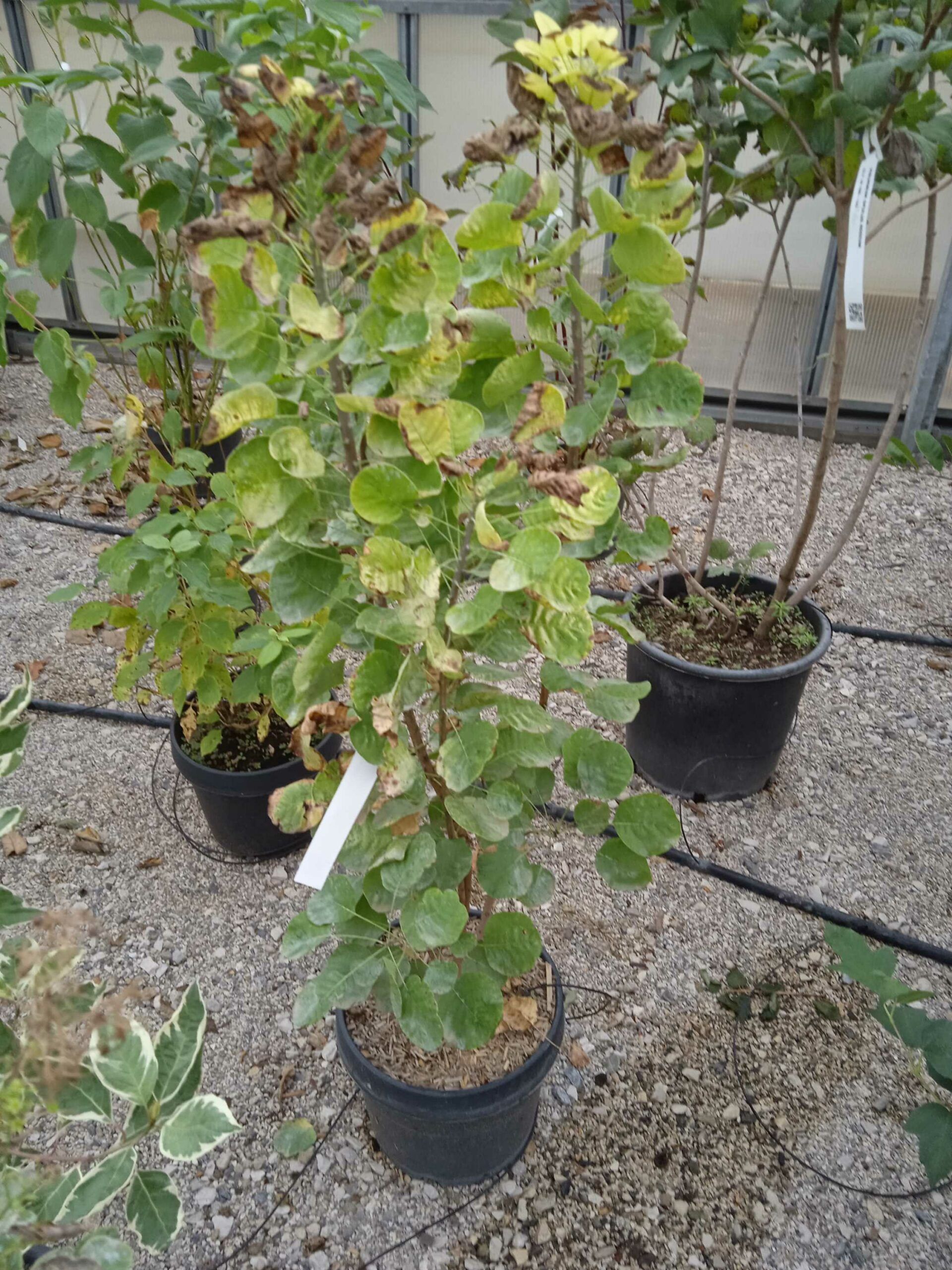 1662190226 scaled 8446085d