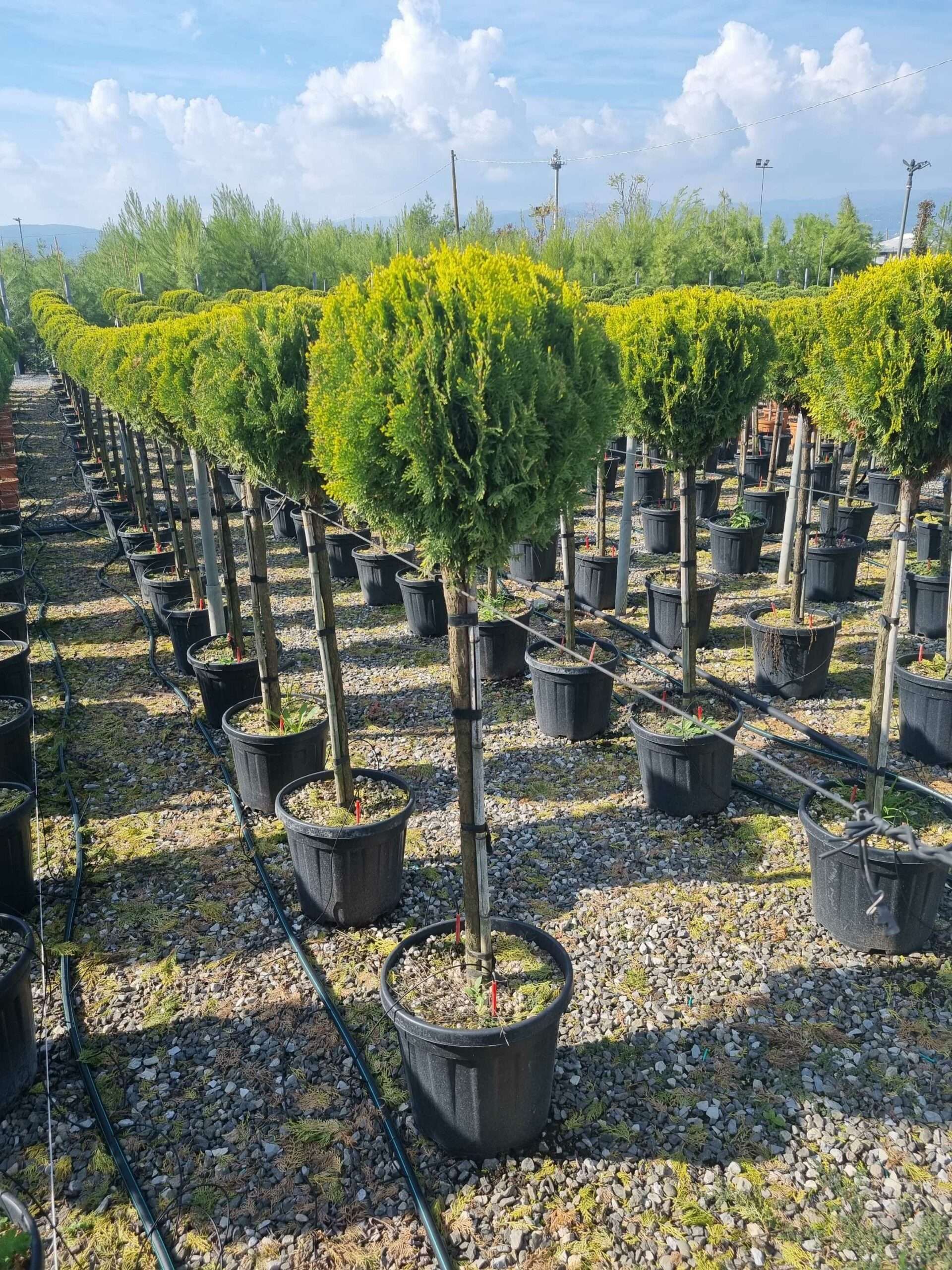 1665750723 scaled 8470a4ad