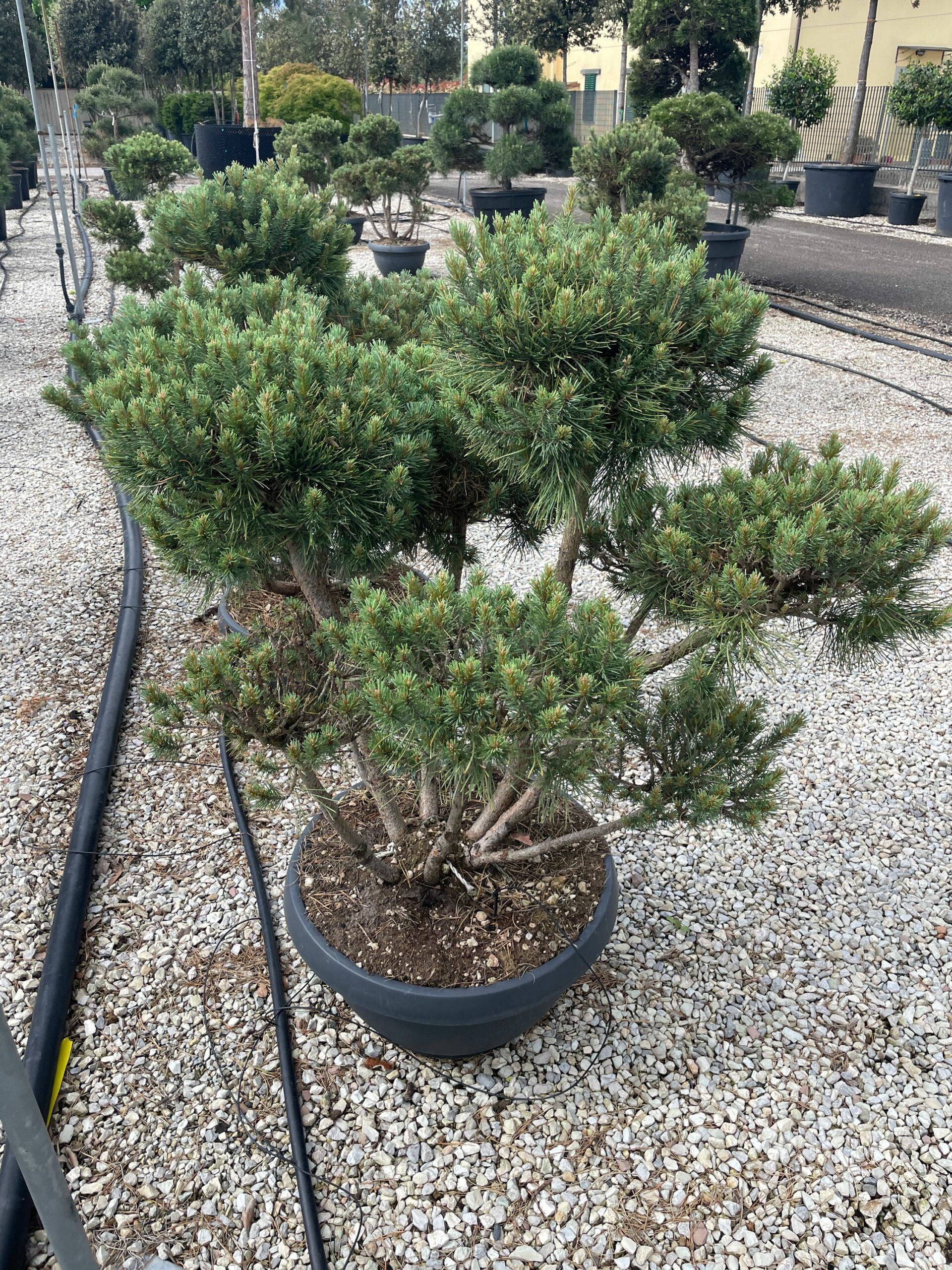 1683101488 scaled 84357265