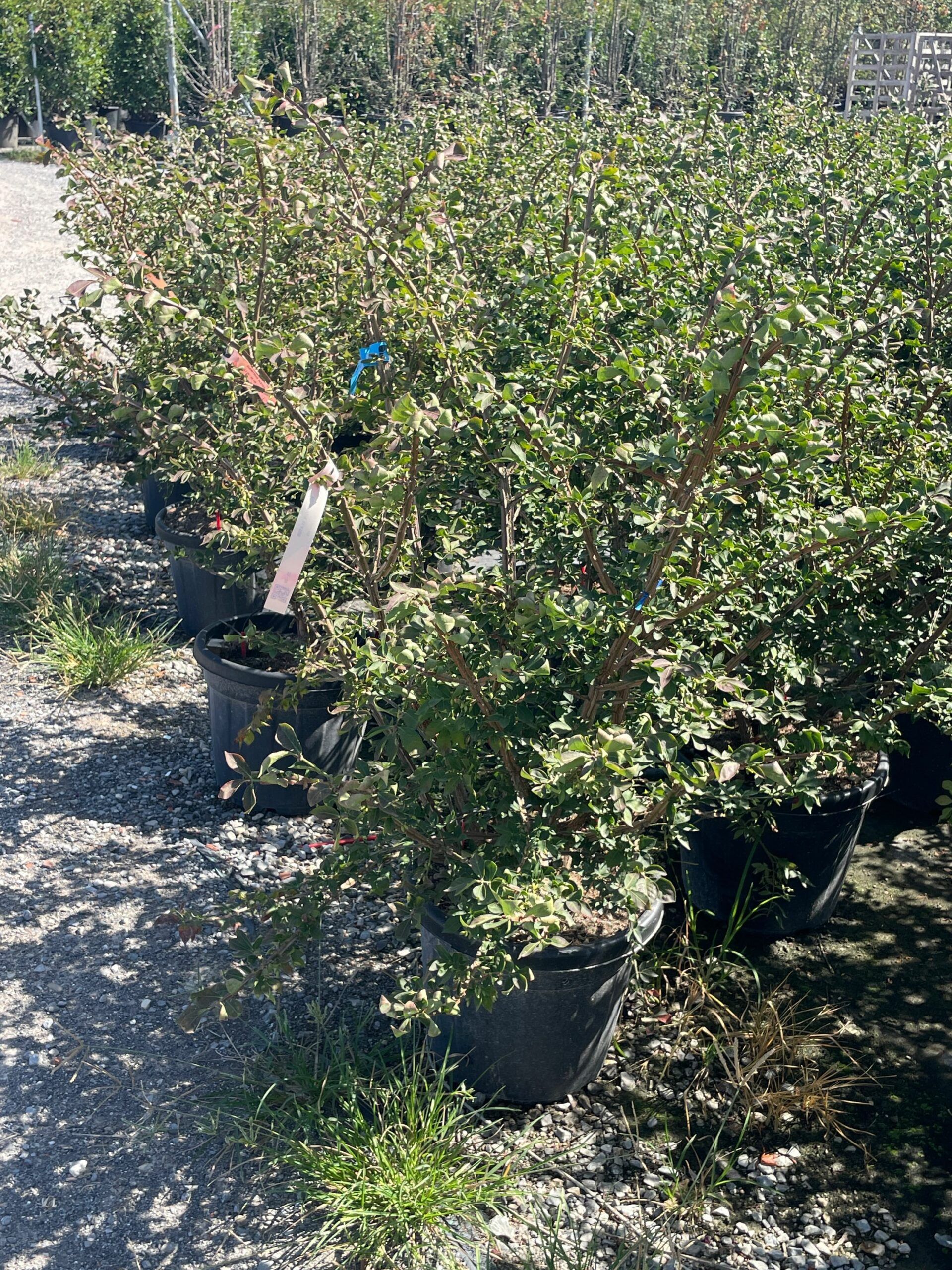 1692867635 scaled 84632511