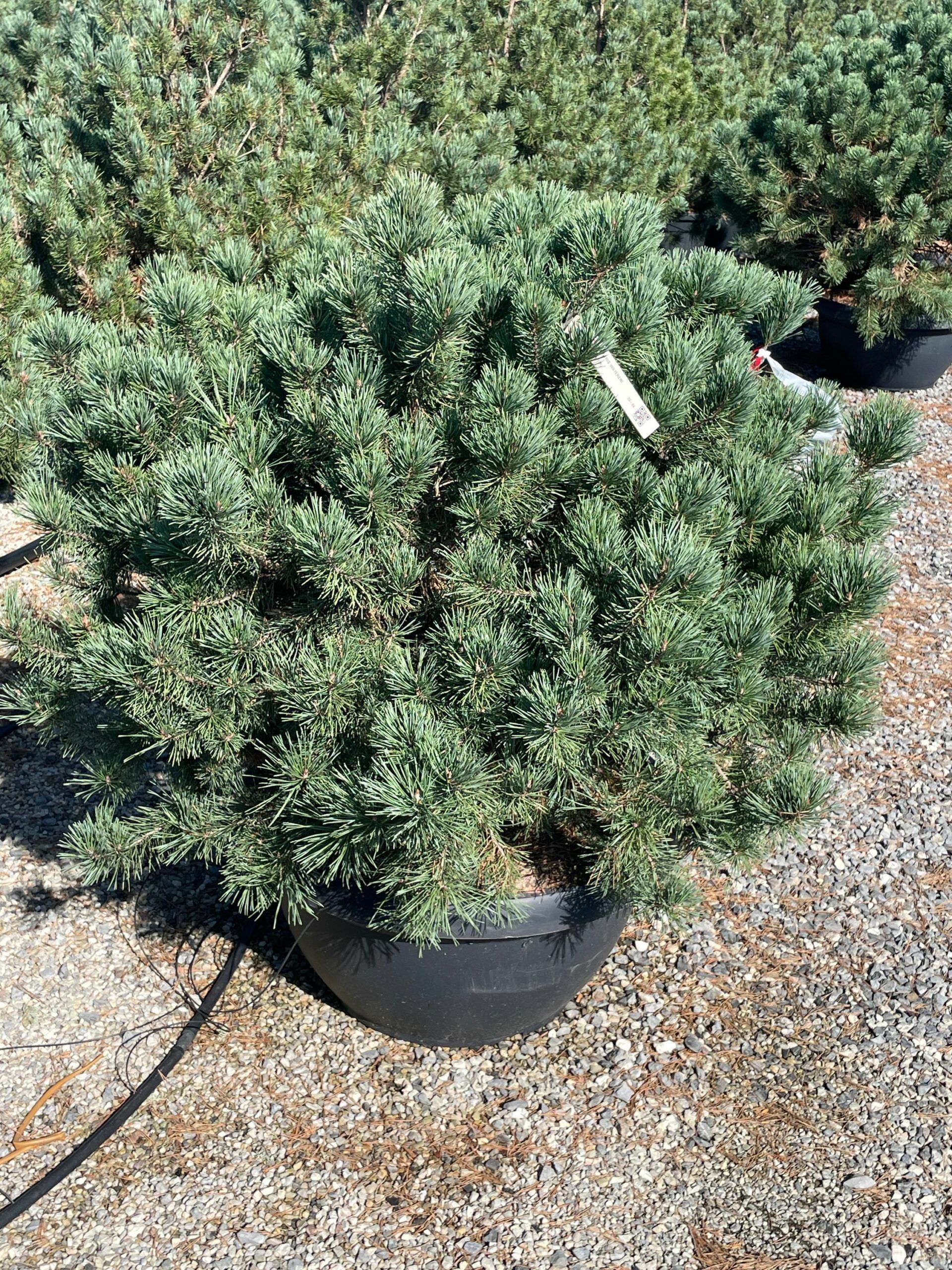 1695805793 scaled 84e1062a