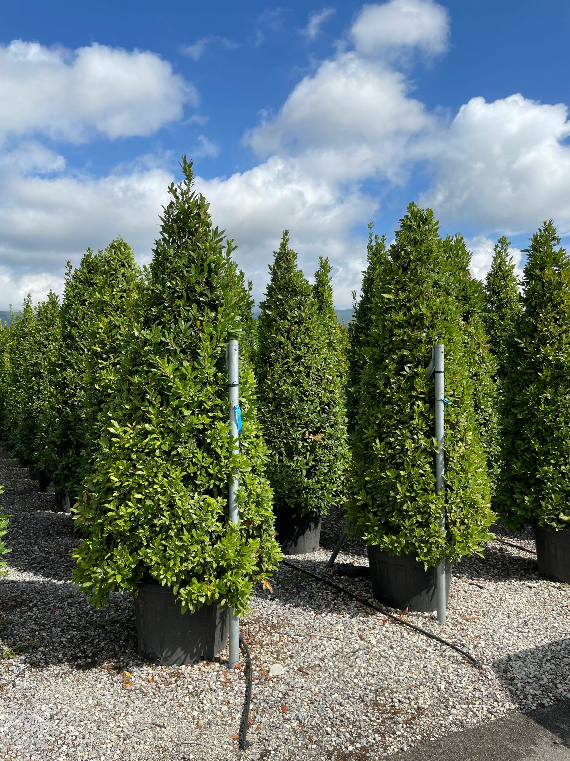 1631959039 scaled 859df384