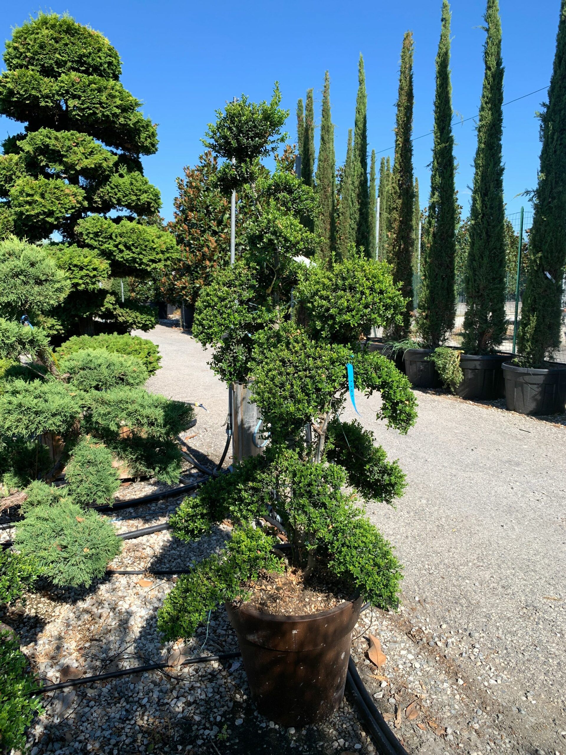 1659599152 scaled 850da239