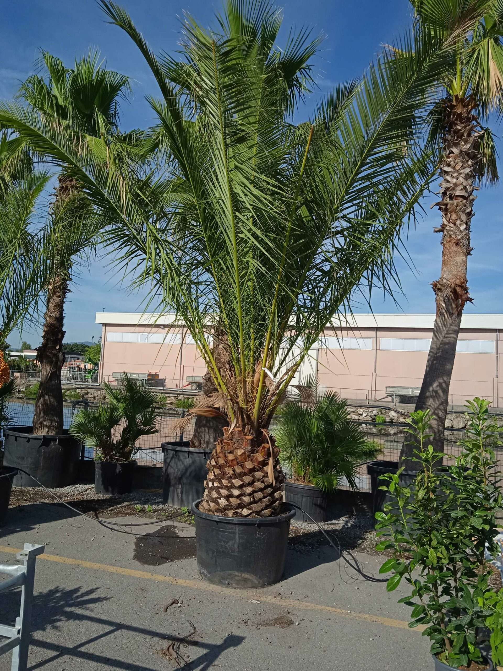 1662363461 scaled 85210150