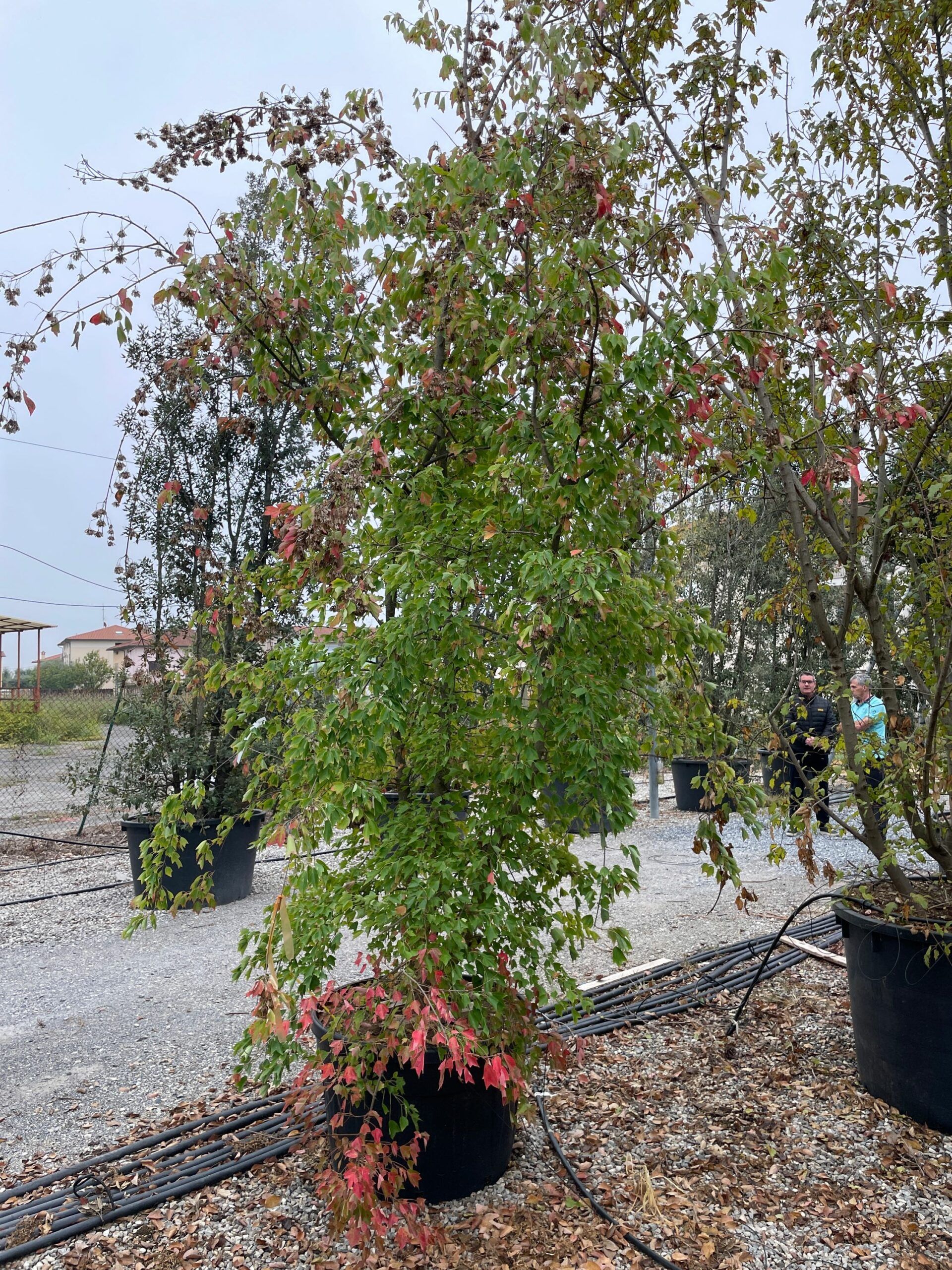 1666170315 scaled 85df3c36