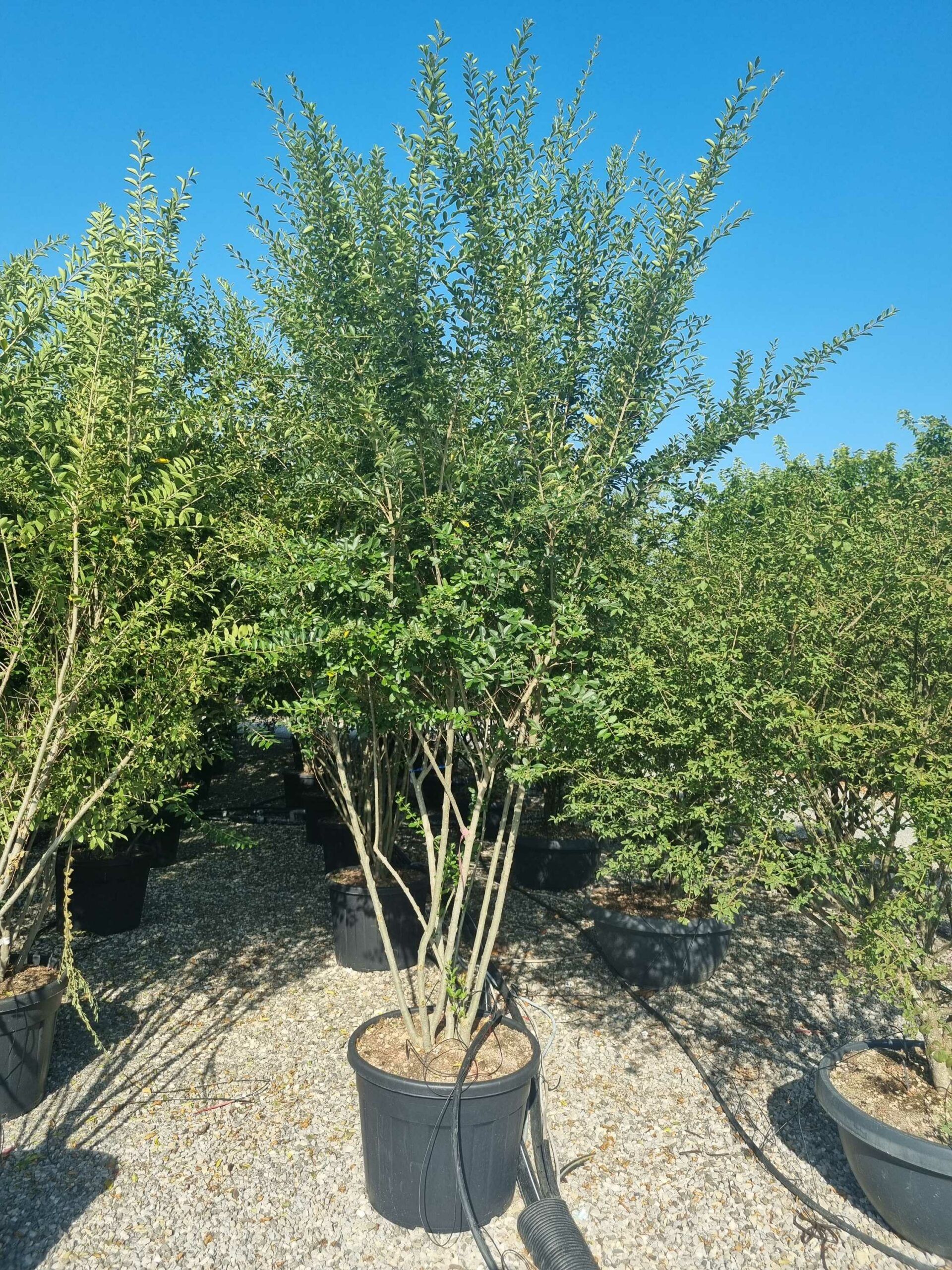 1692948554 scaled 85965b52