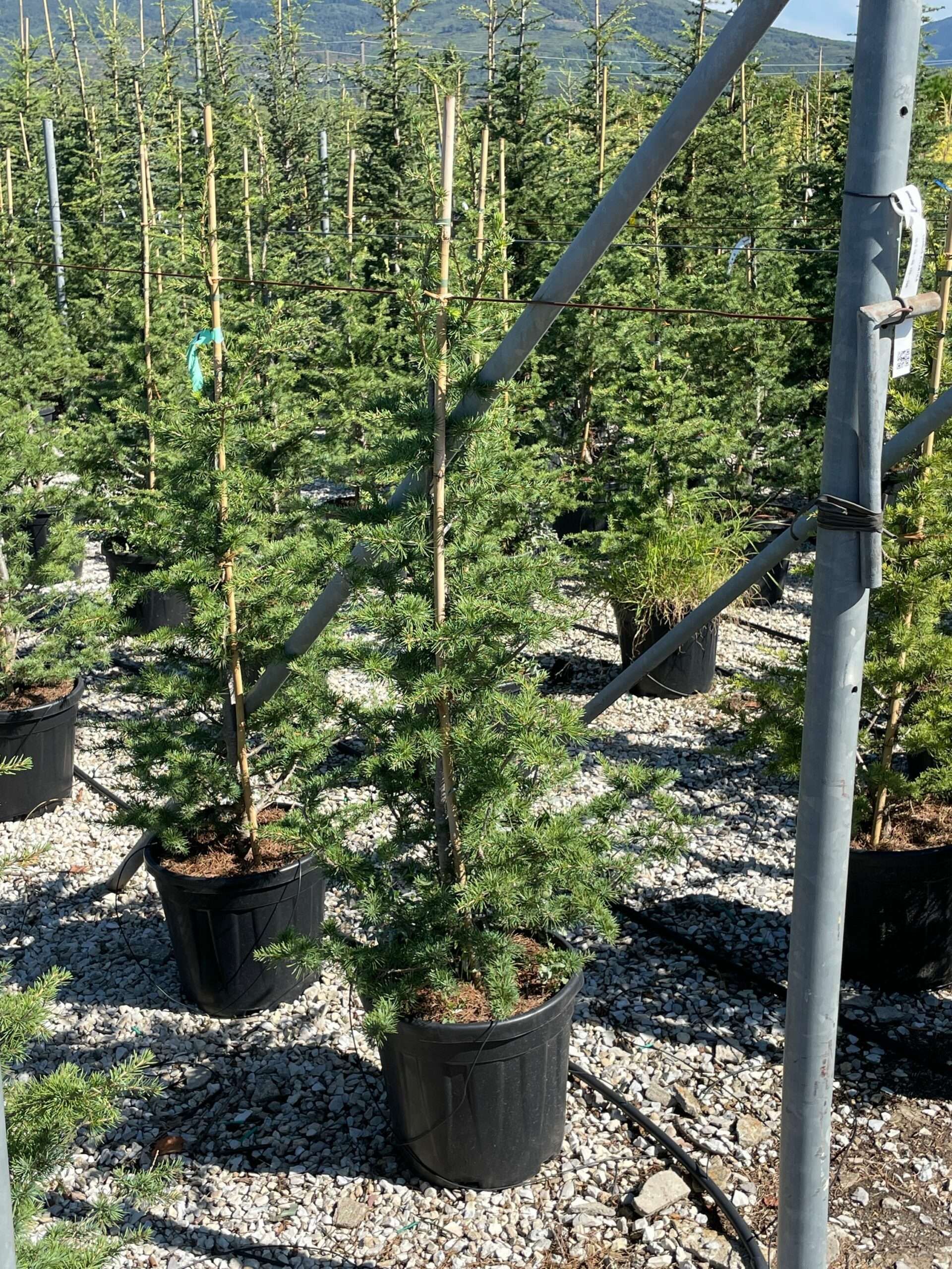 1632303901 scaled 86aa6901