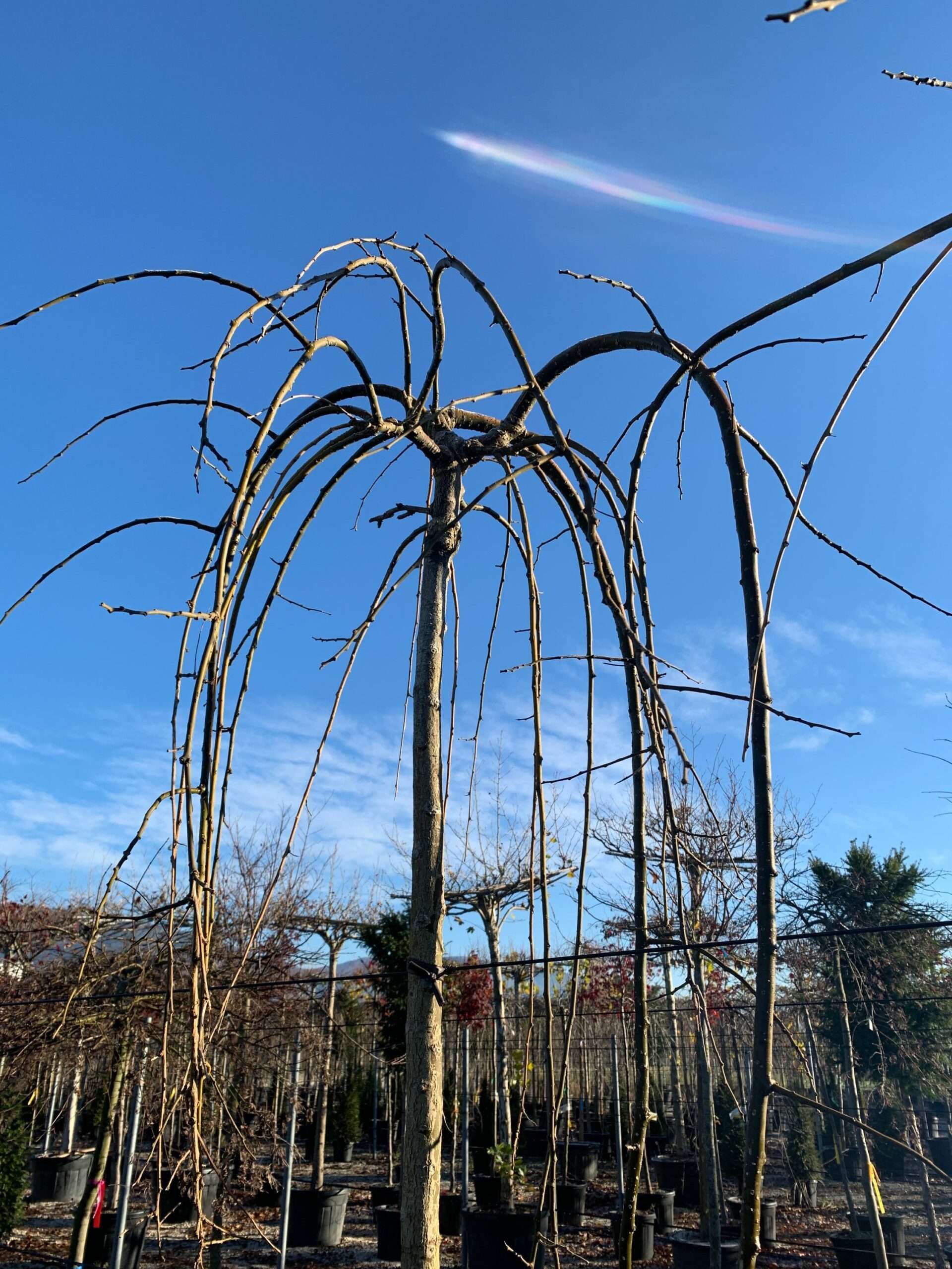 1638261159 scaled 860ad26d