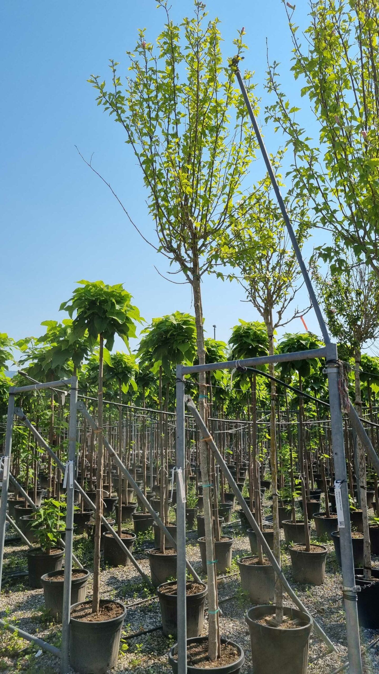 1658130898 scaled 86ba3e32