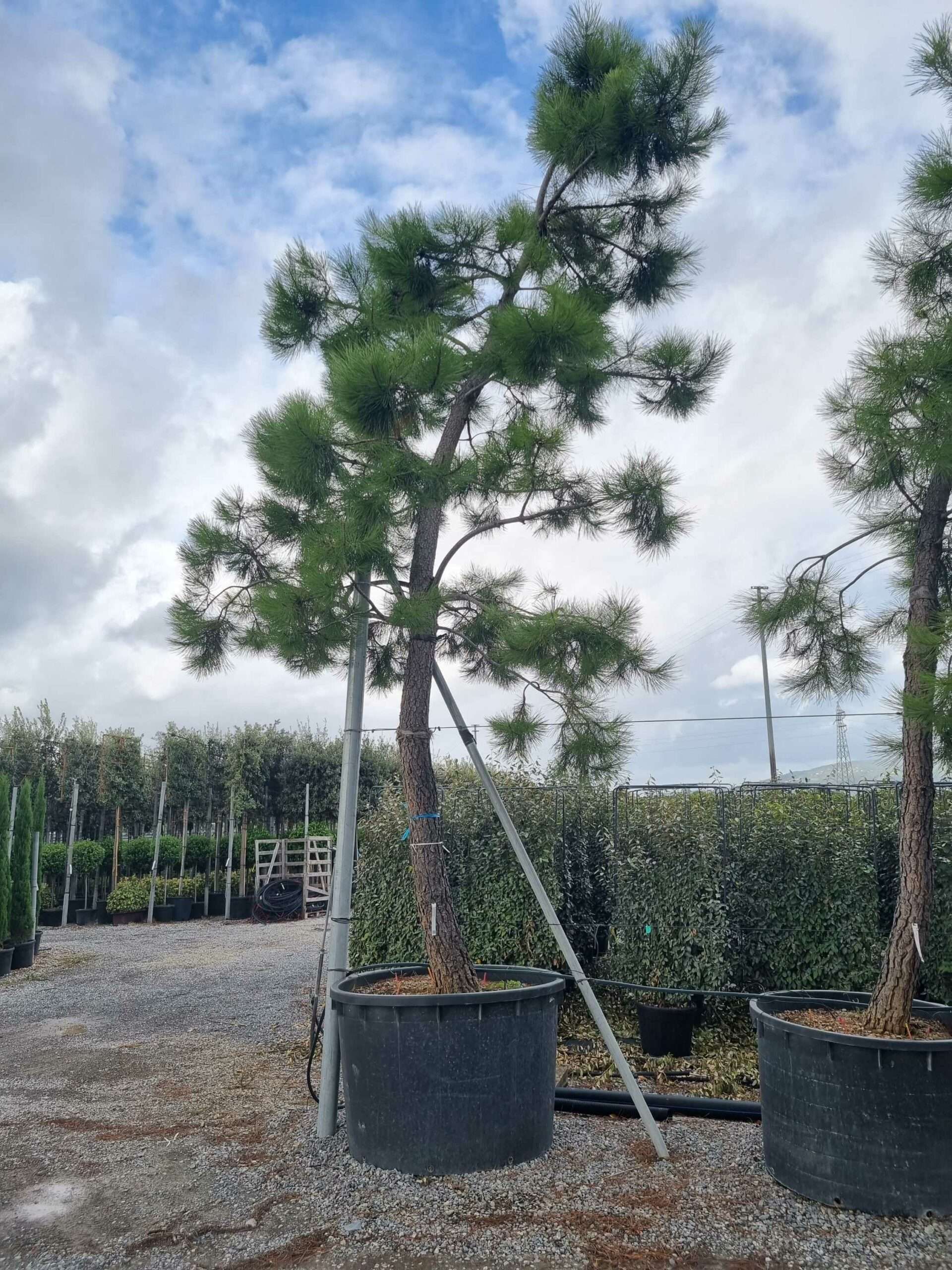 1664444049 scaled 8652c267