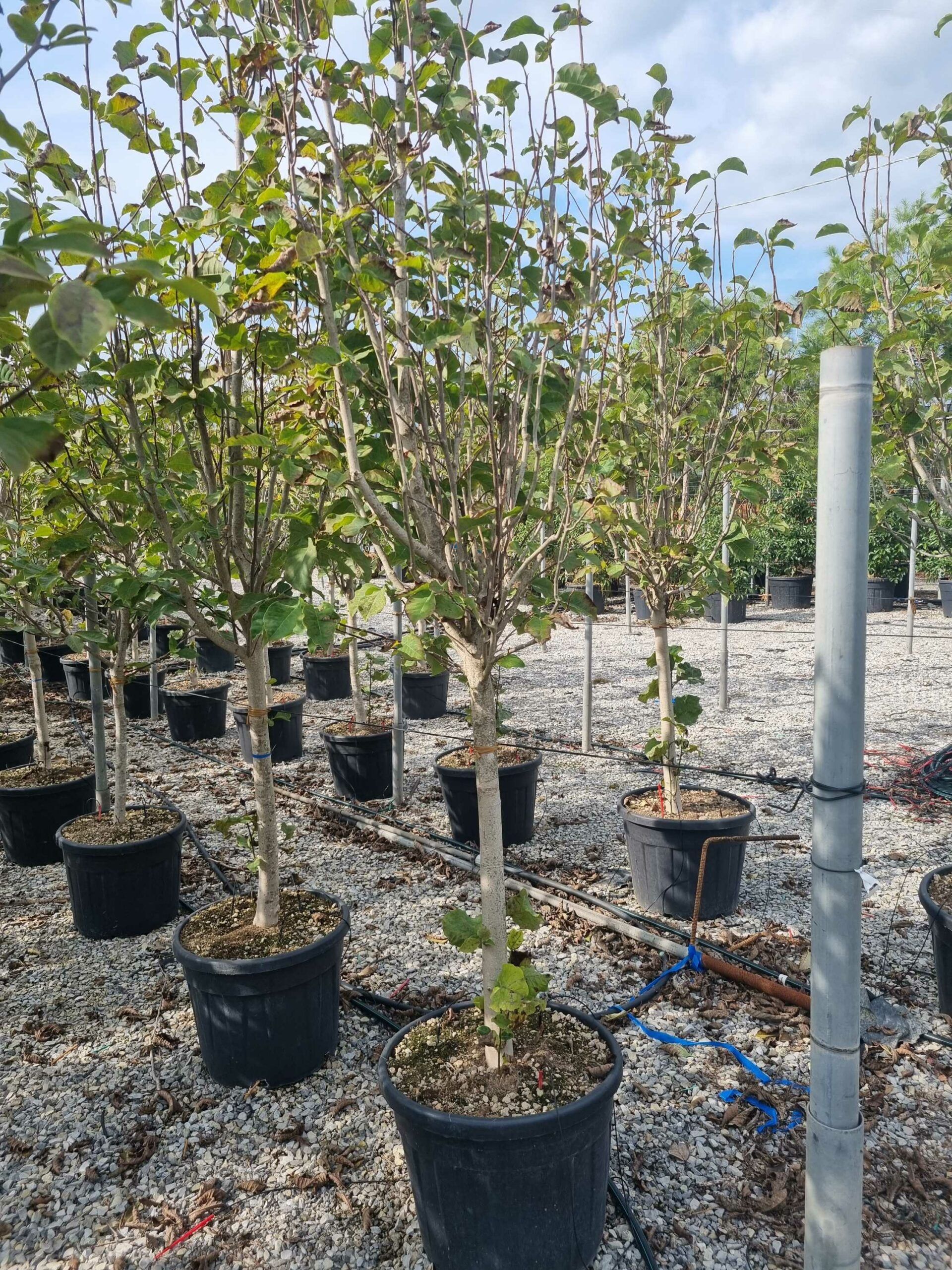 1665491719 scaled 86895ab7