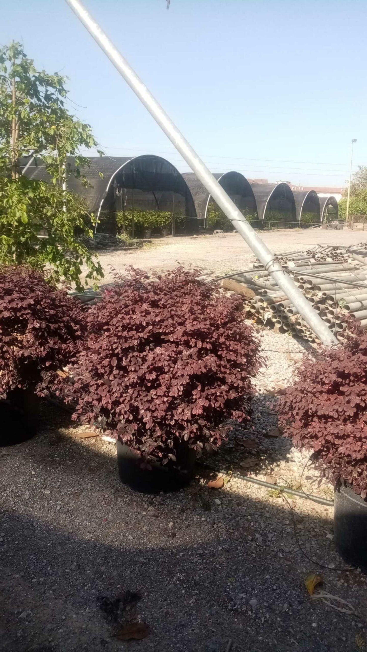 1685085421 scaled 860e1796