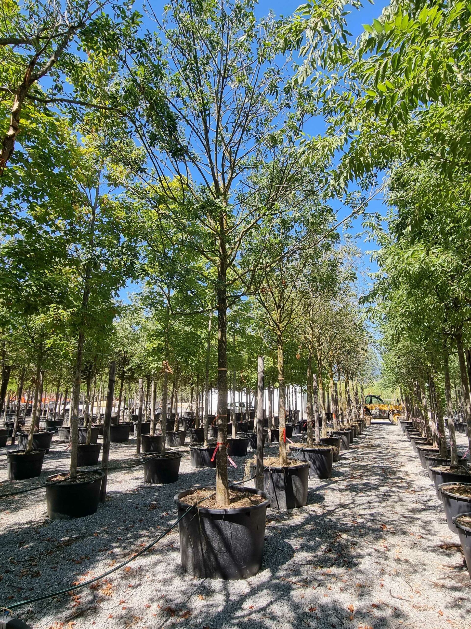 1692708962 scaled 86c20576