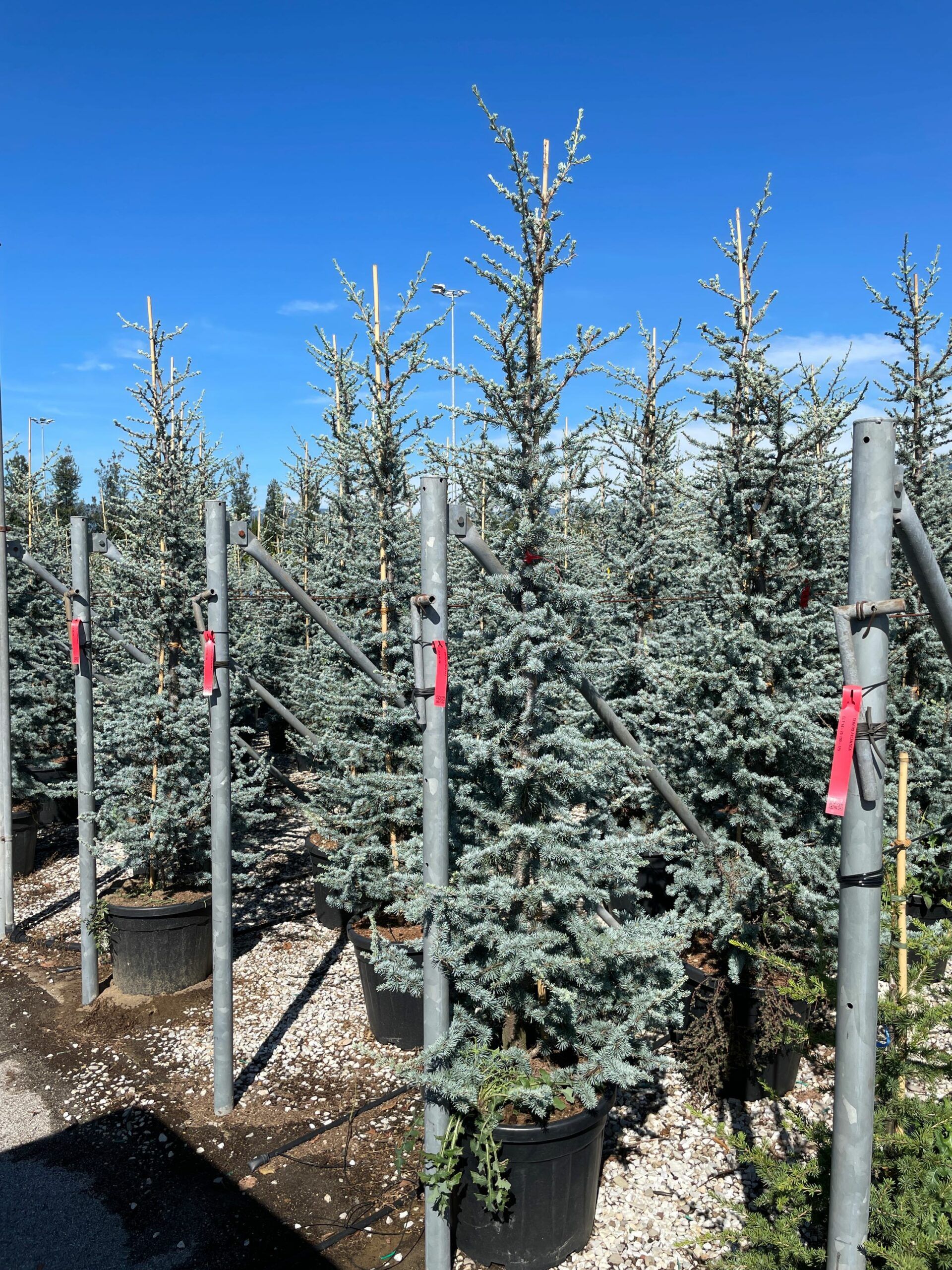 1632303981 scaled 8782bbc2