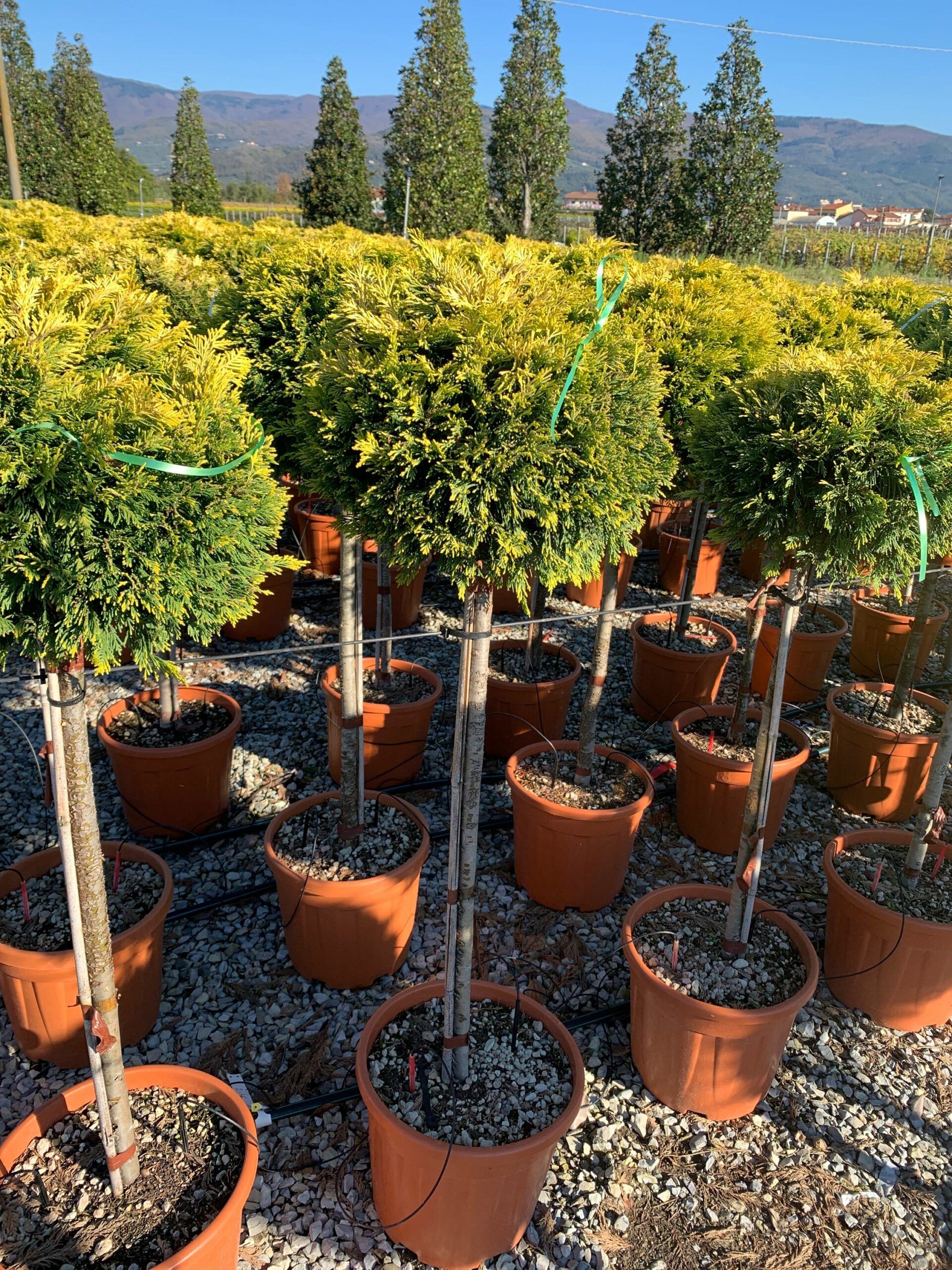 1637746407 scaled 877defa3