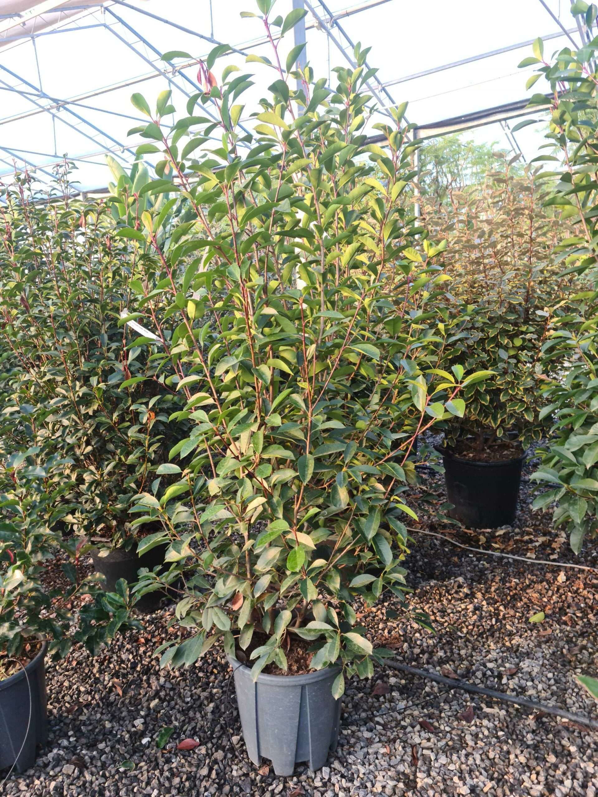 1639470296 scaled 879720b5