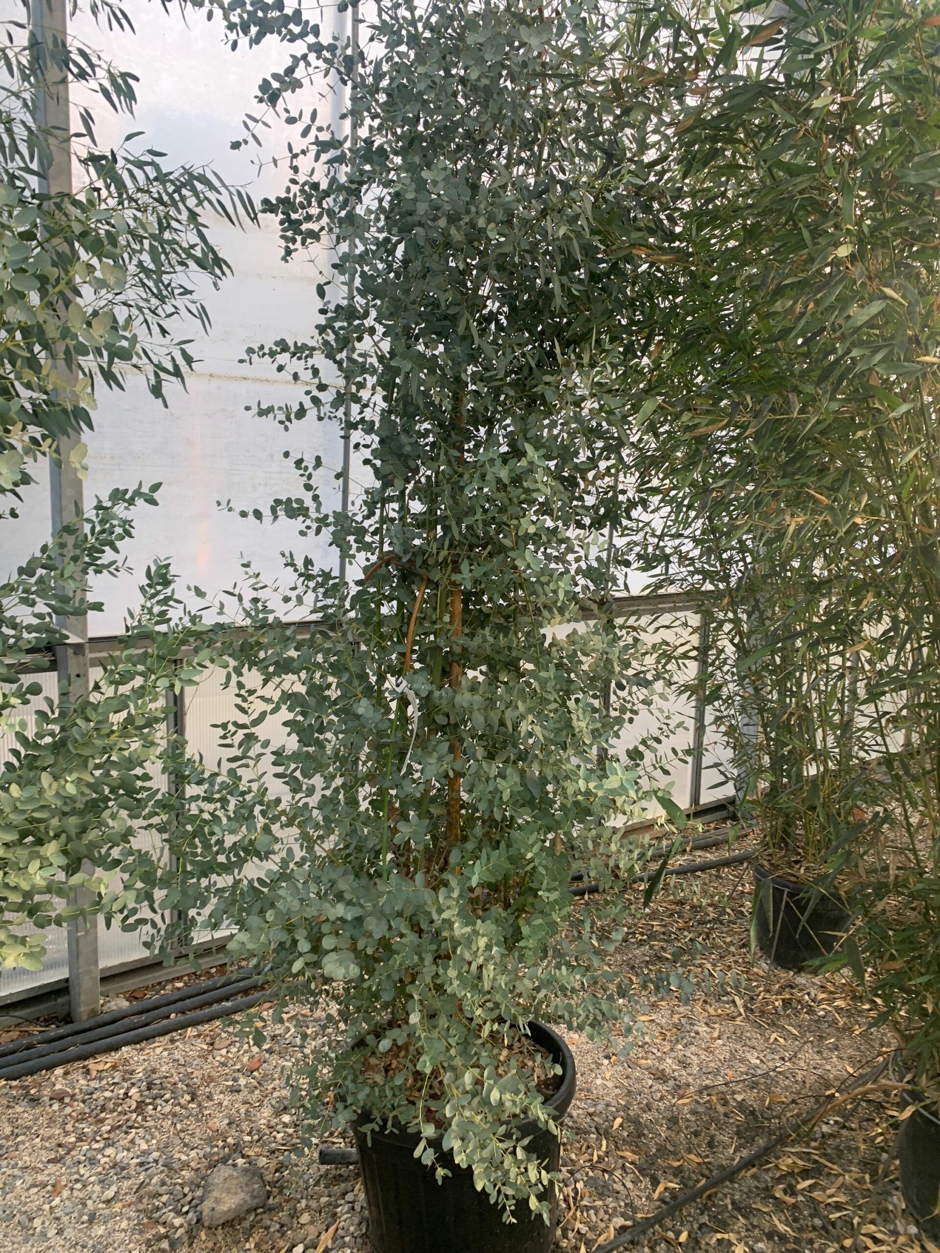 1639489314 scaled 873c421b