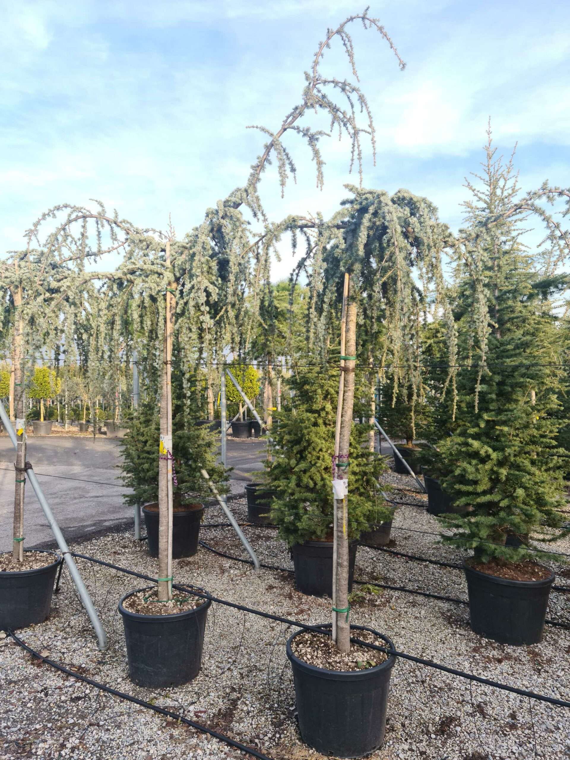 1639491586 scaled 87d5a495