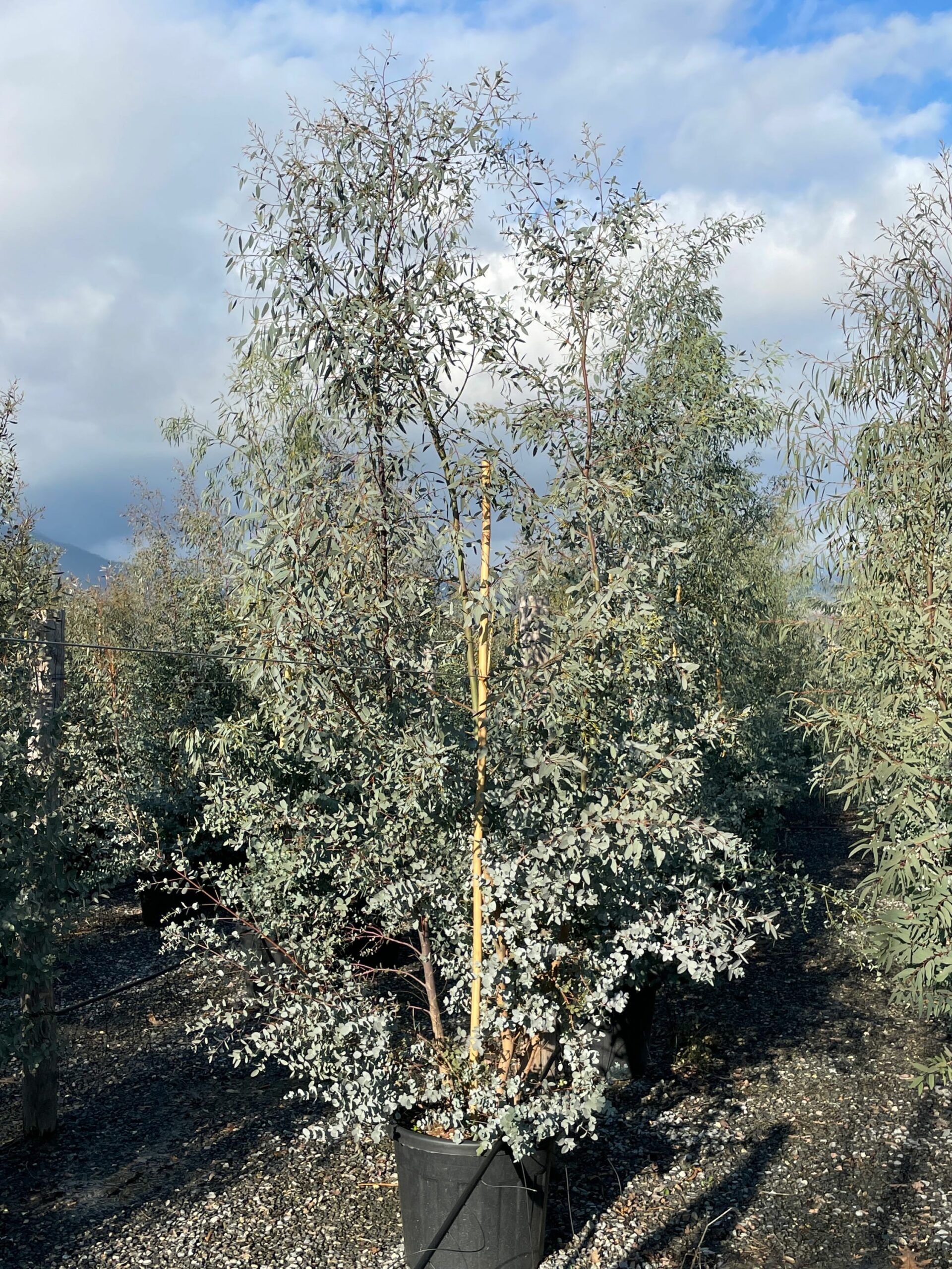 1642686342 scaled 875d21c3