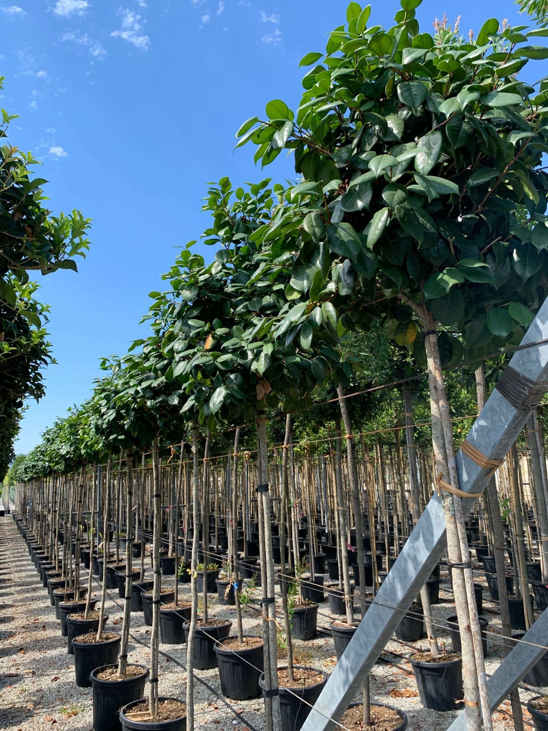 1657528873 scaled 879e9ac1