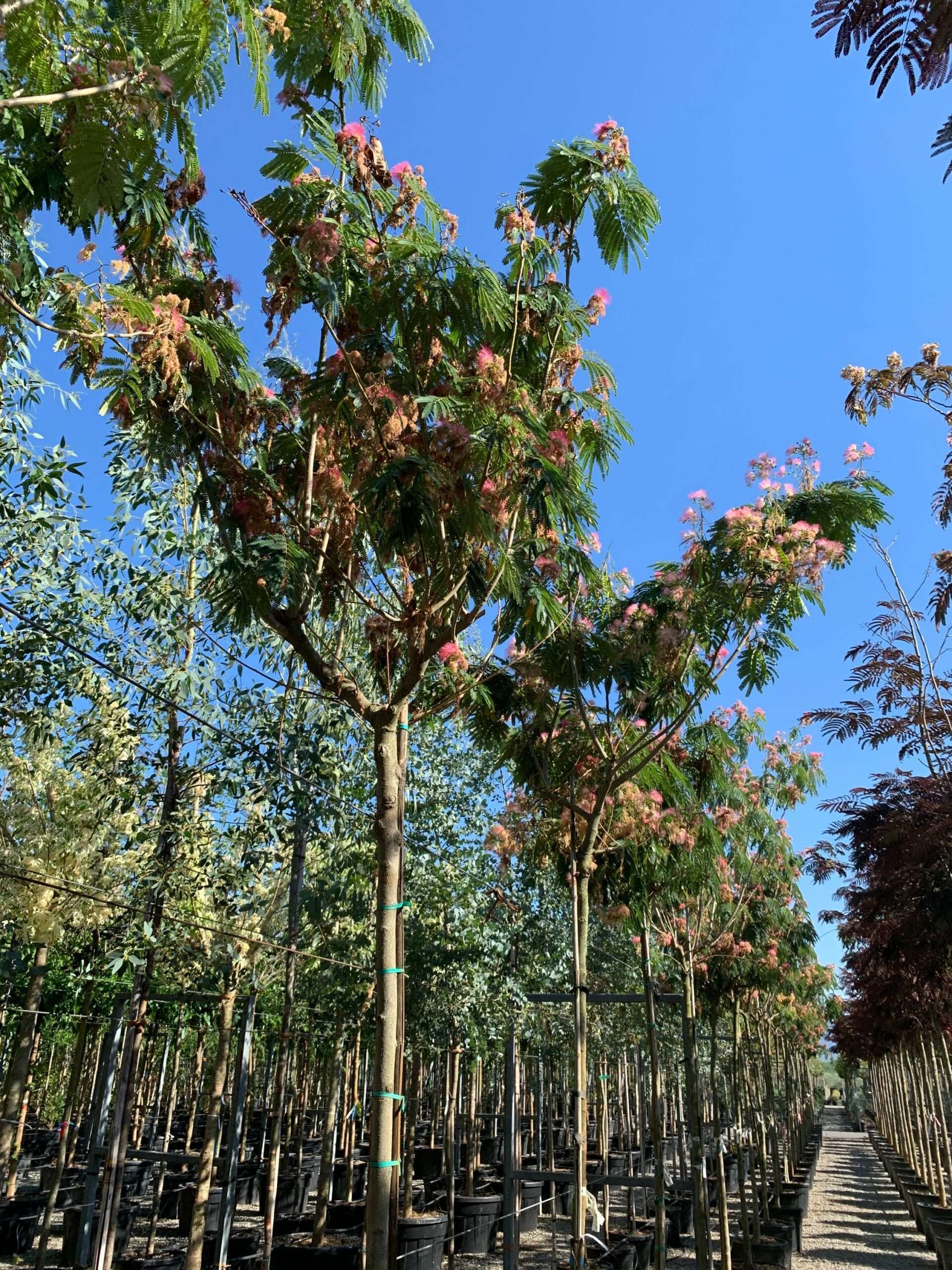 1657898808 scaled 8794d92a