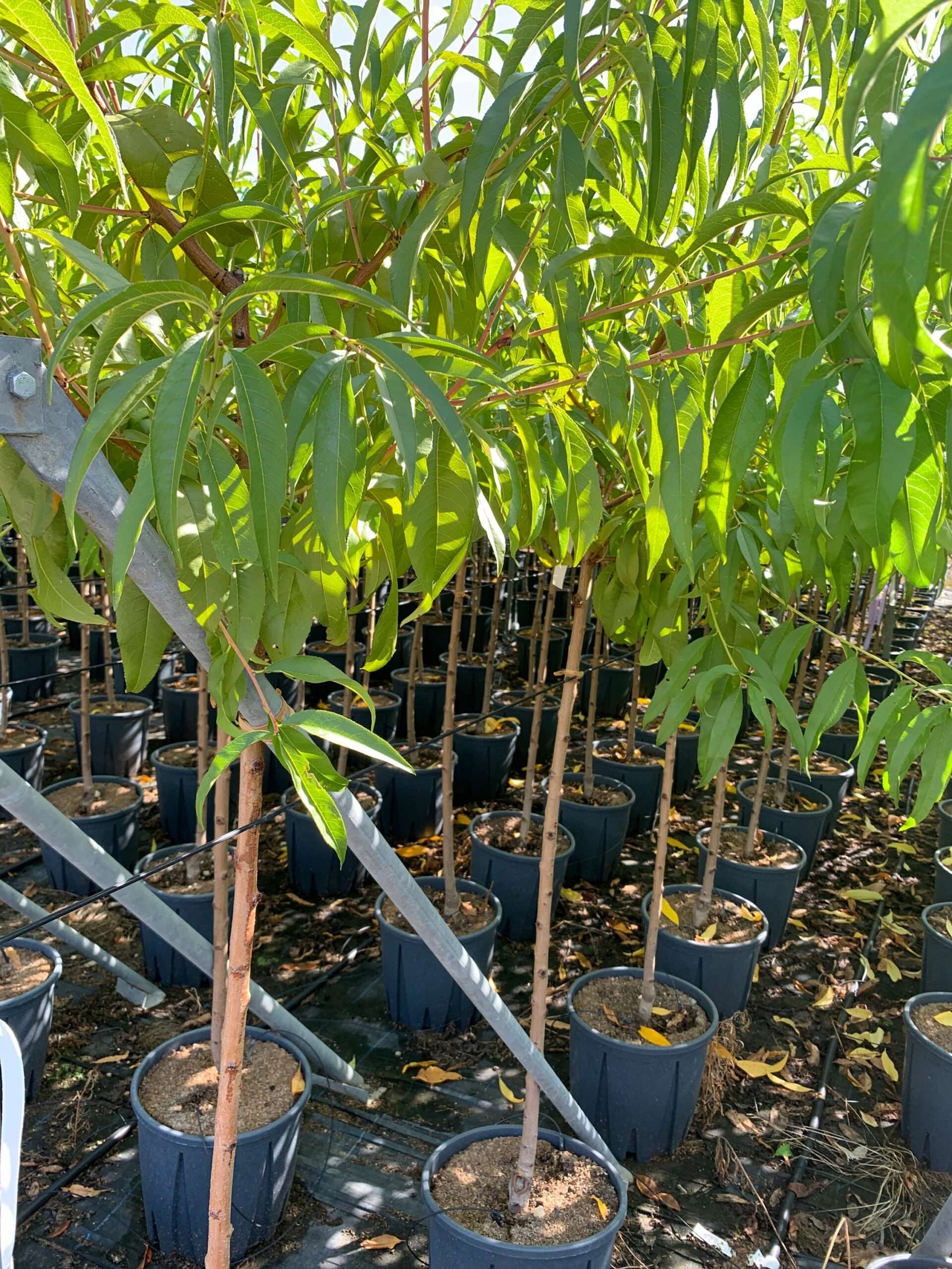 1662366329 scaled 87f58323