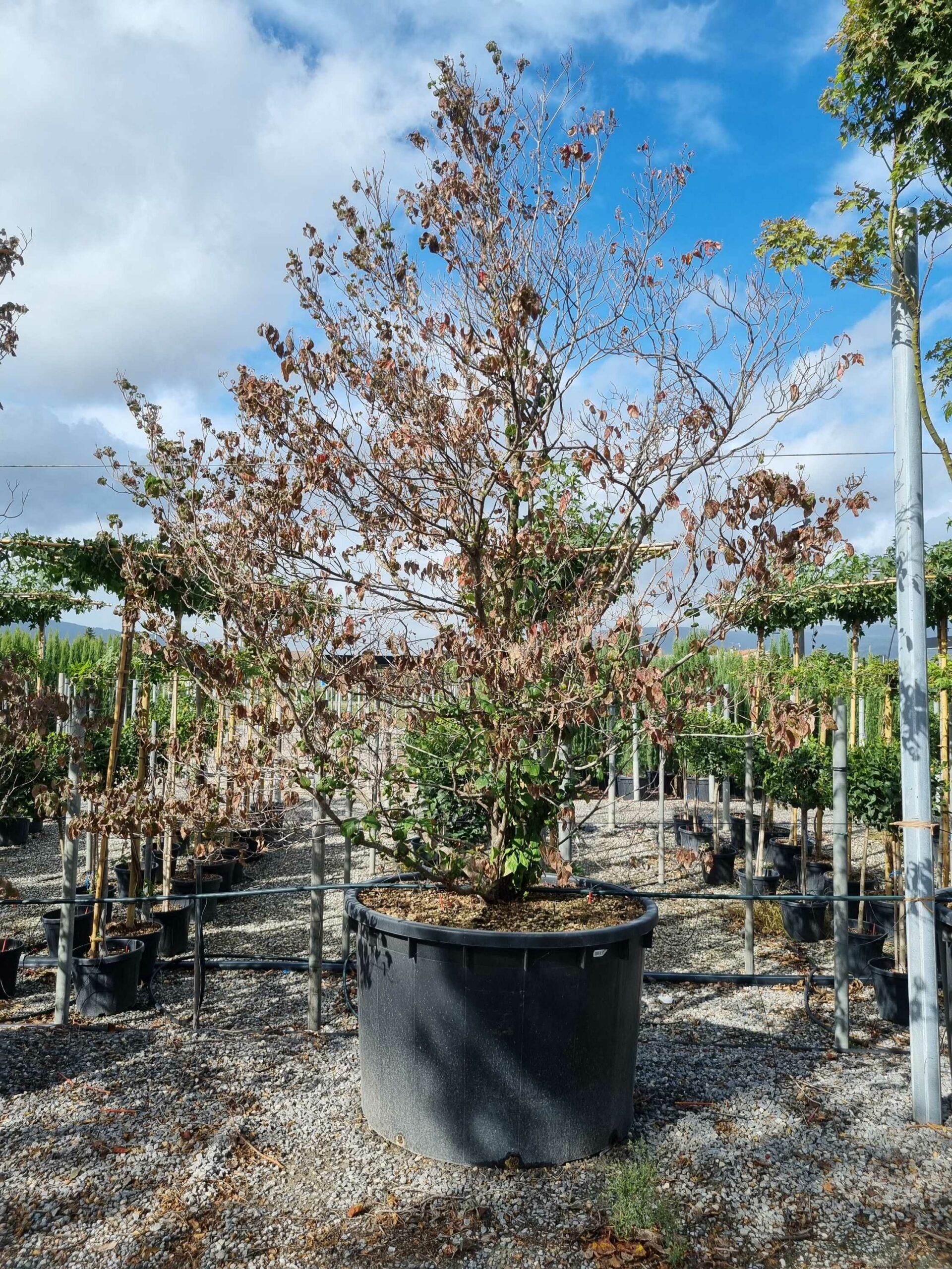 1664441295 scaled 87302d68