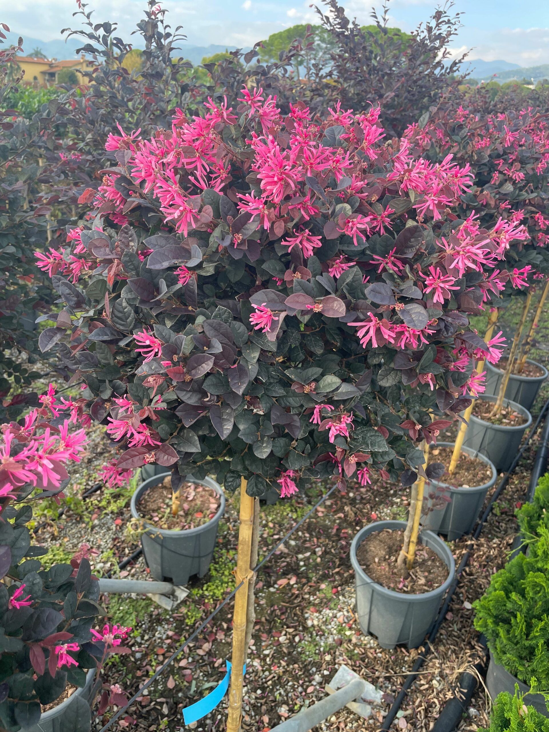 1665495407 scaled 87042f96