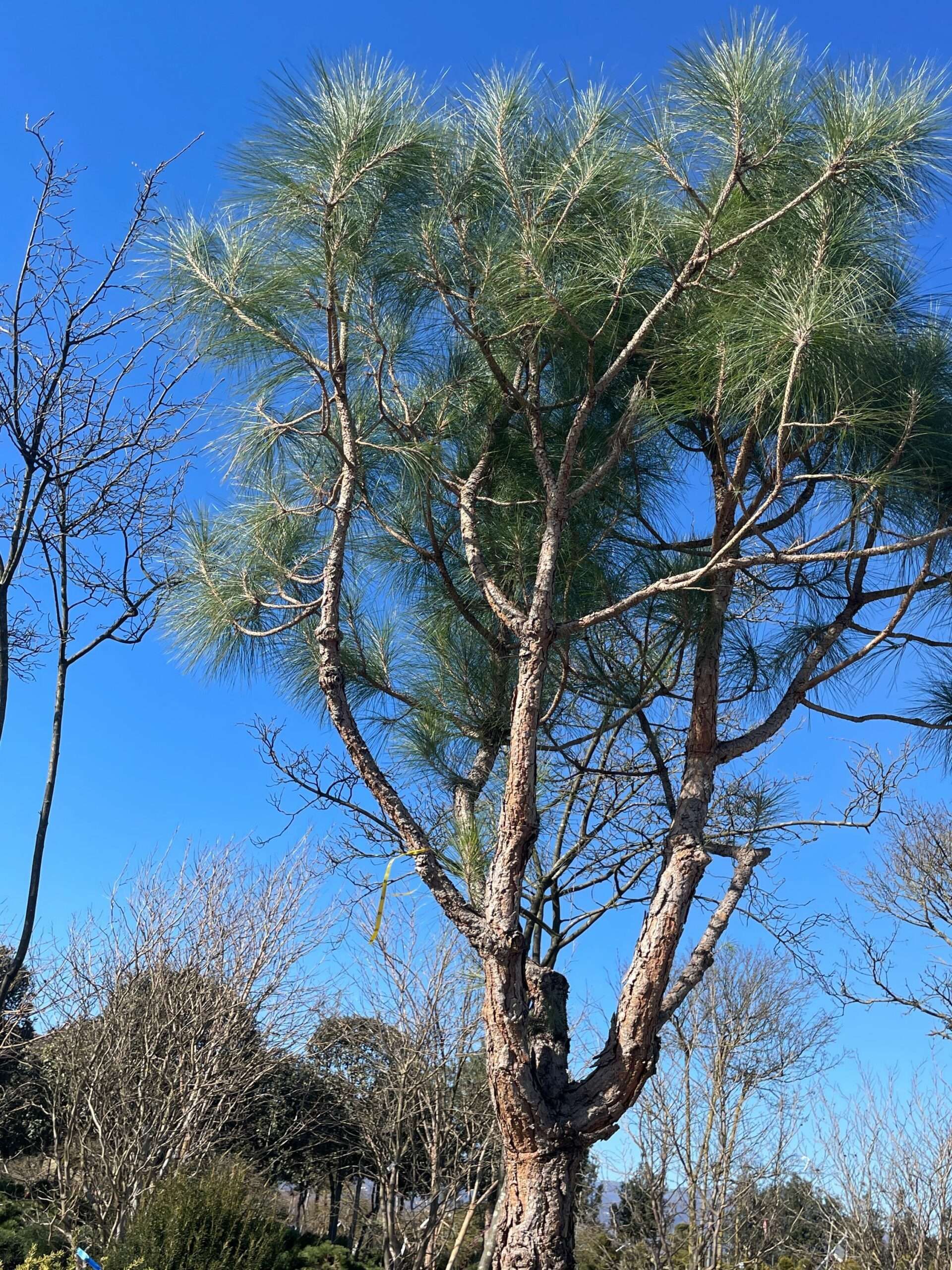 1675683400 scaled 876277f4